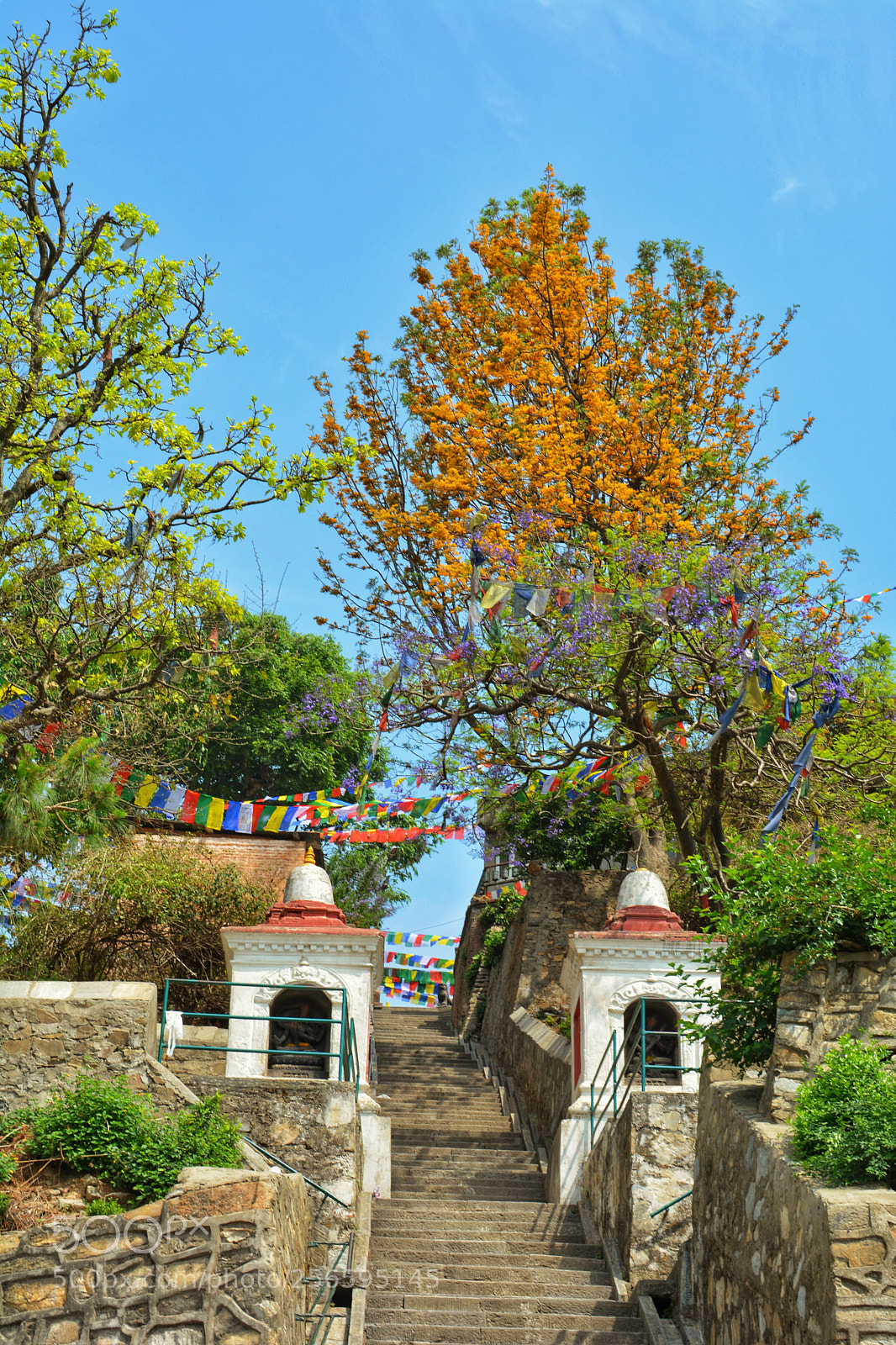 Nikon D5200 sample photo. Colors of spring photography