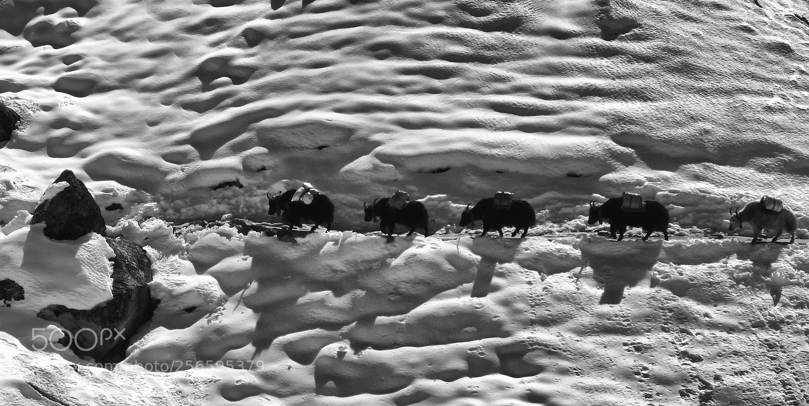 Panasonic Lumix DMC-ZS10 (Lumix DMC-TZ20 / Lumix DMC-TZ22) sample photo. Route everest caravane photography