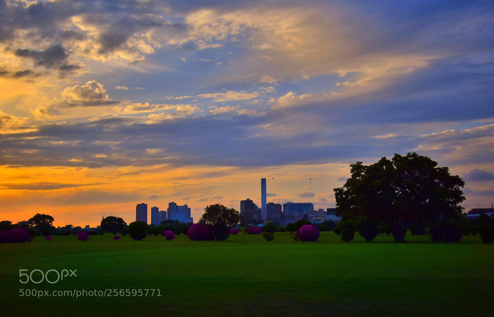 Nikon D3300 sample photo. Sunset photography