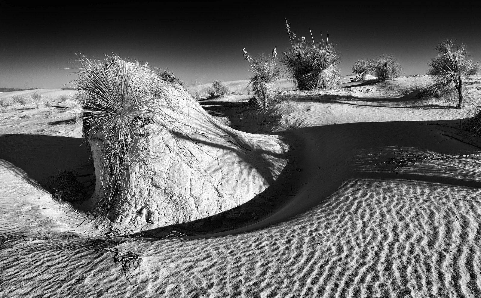 Canon EOS 5D Mark II sample photo. Dunes photography