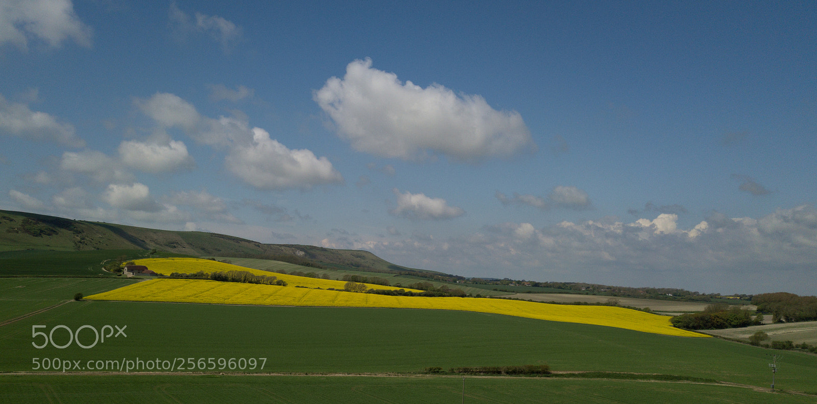 DJI FC220 sample photo. Yellow field1 photography