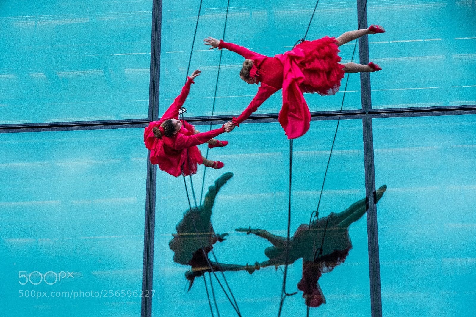 Canon EOS-1D X Mark II sample photo. Sparrowdance photography