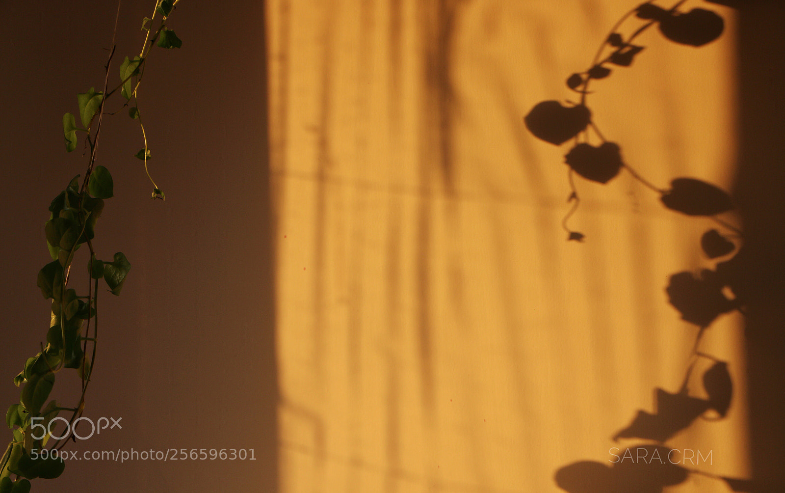 Canon EOS 70D sample photo. Shadow dance photography