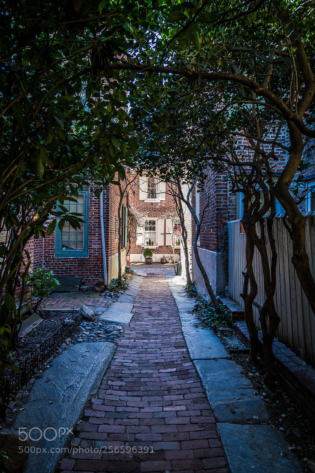 Canon EOS 6D sample photo. Bladens court - looking photography