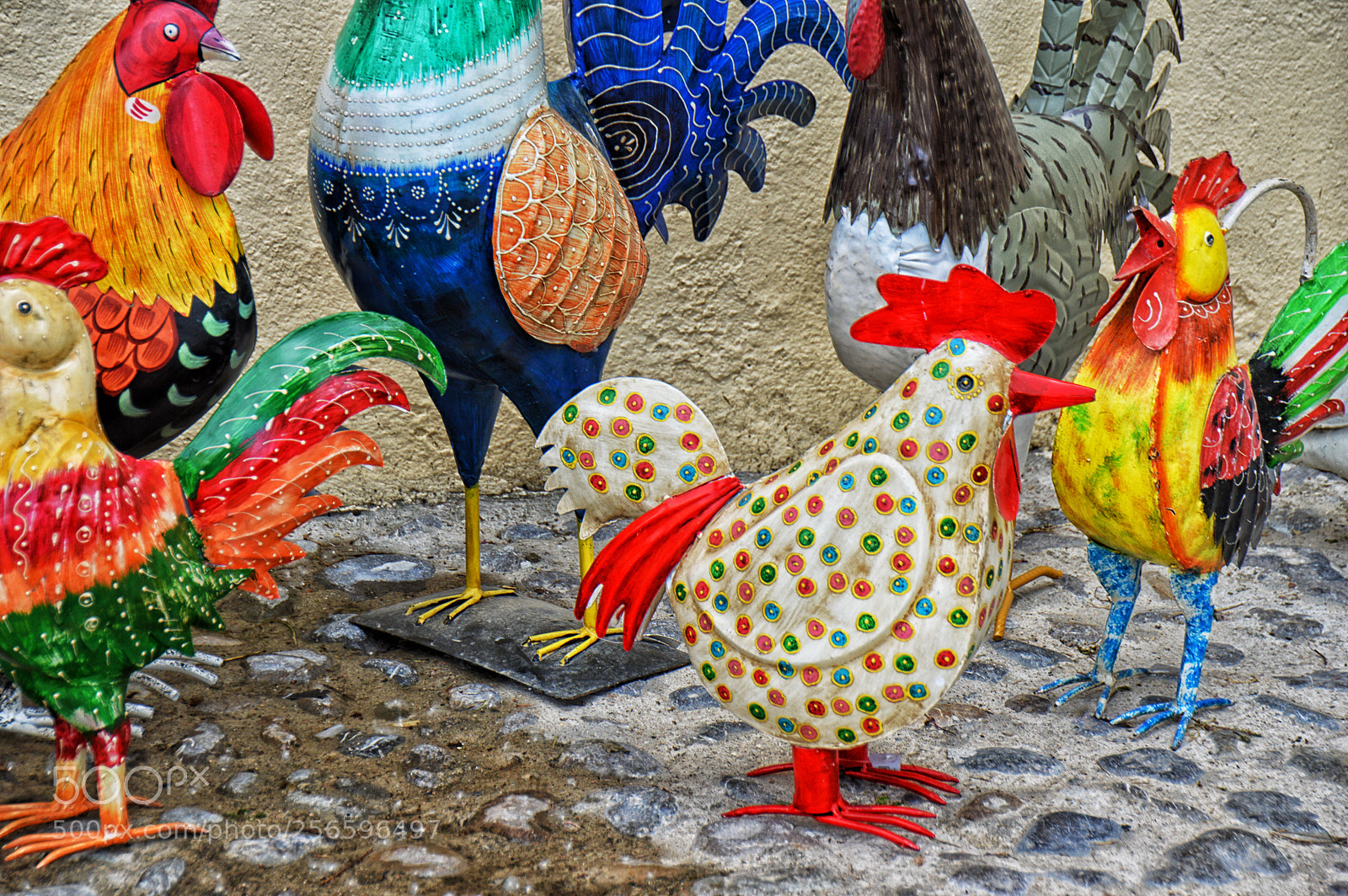 Nikon D3200 sample photo. Gallinero photography