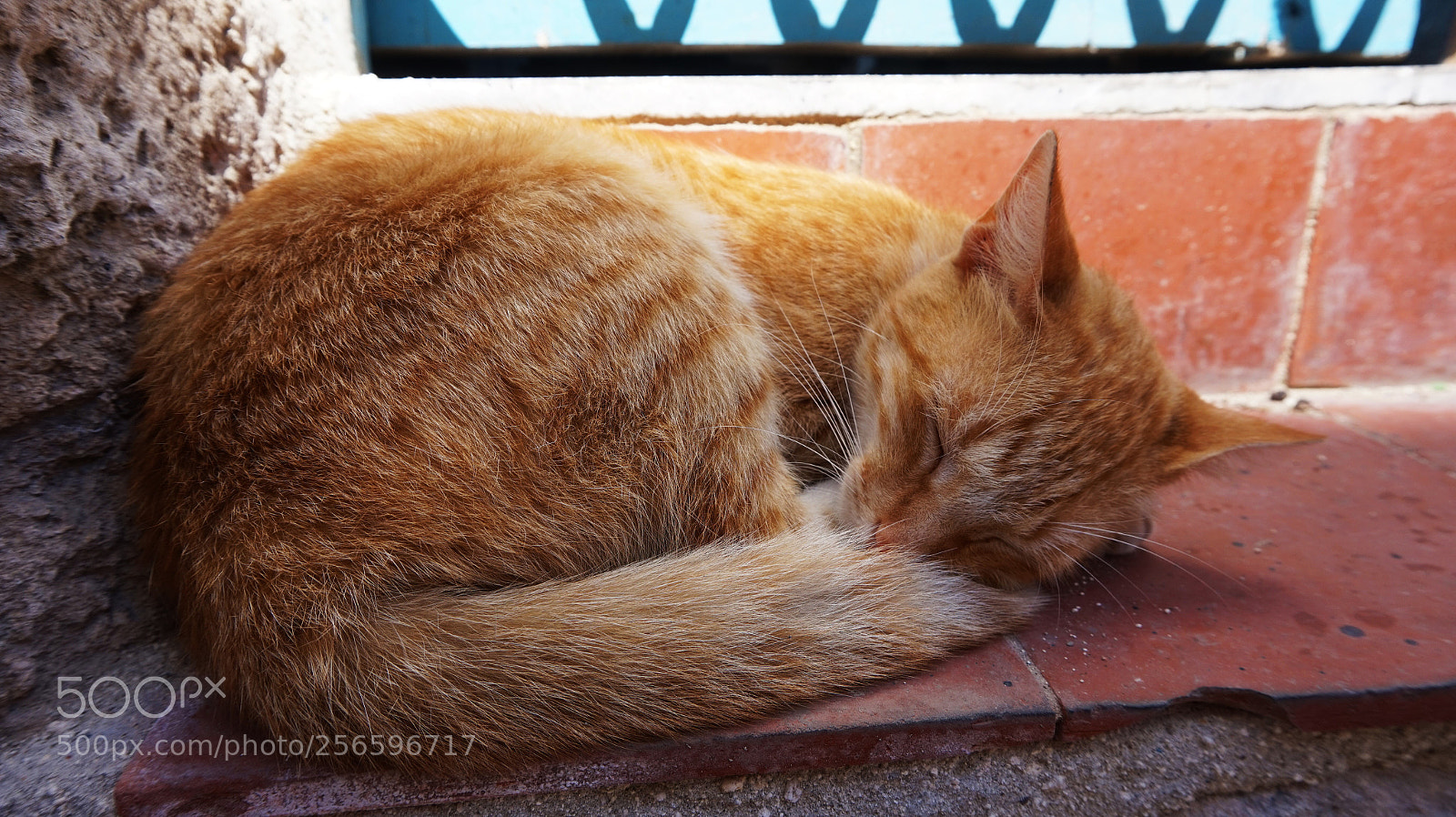 Sony Alpha a5000 (ILCE 5000) sample photo. Touch photography