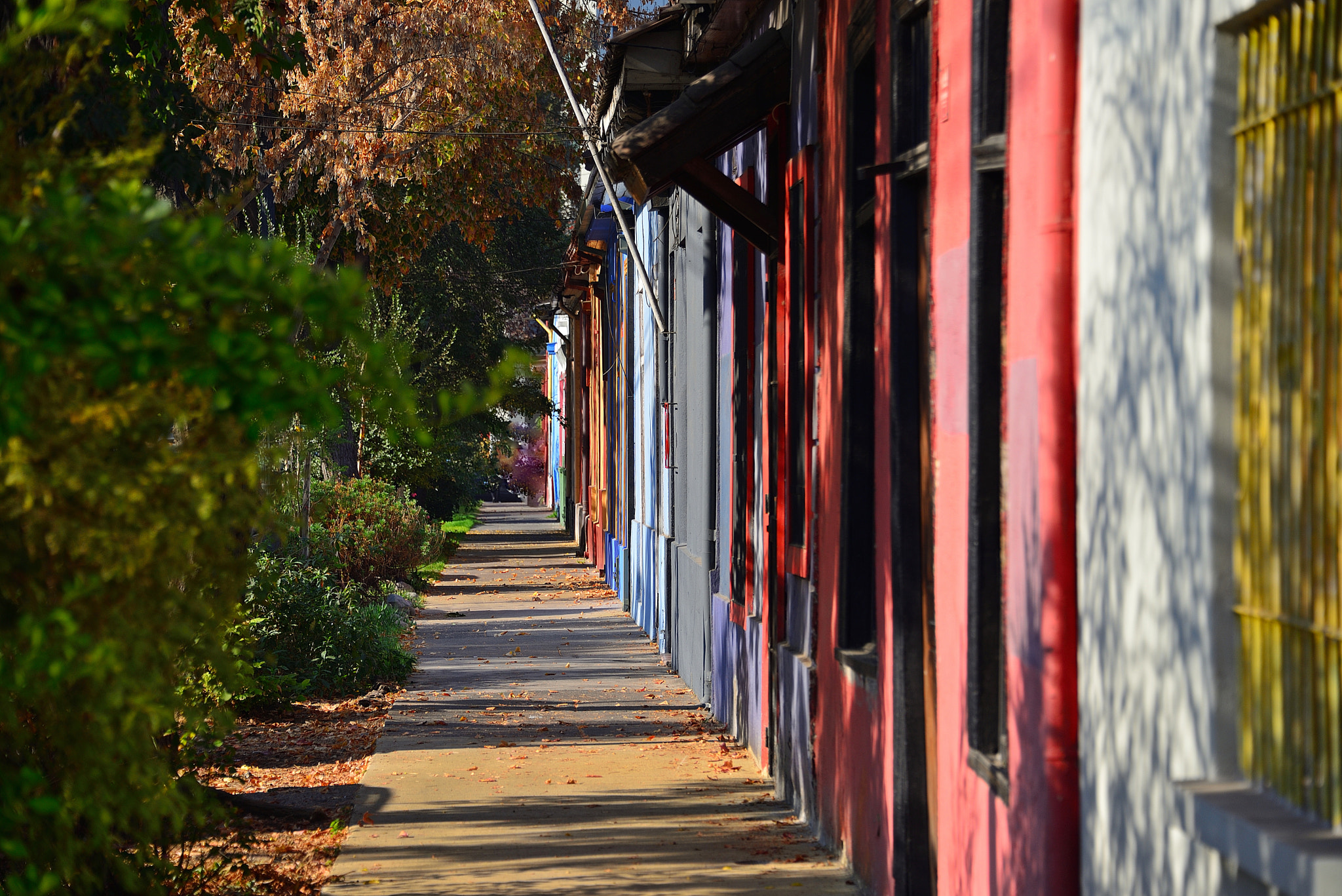 Nikon D610 sample photo. Colored sidewalk! photography