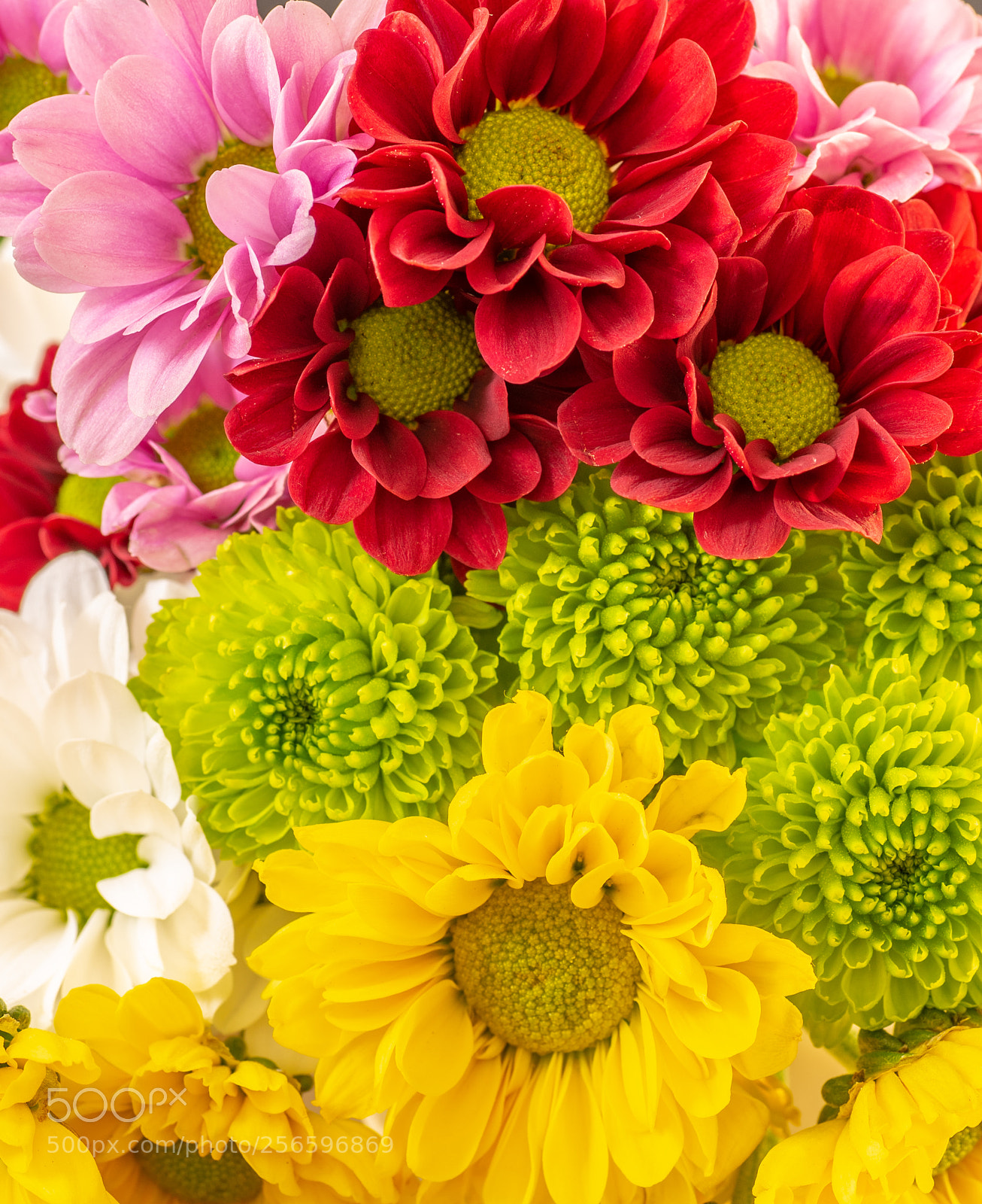 Nikon D750 sample photo. Bunch photography