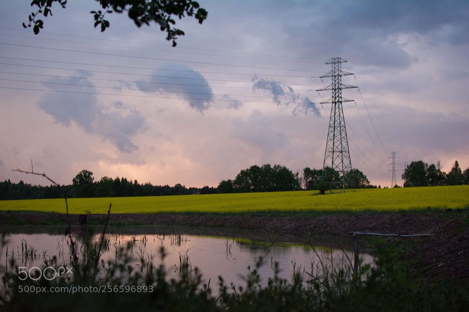 Nikon D5200 sample photo. Another worthless picture photography