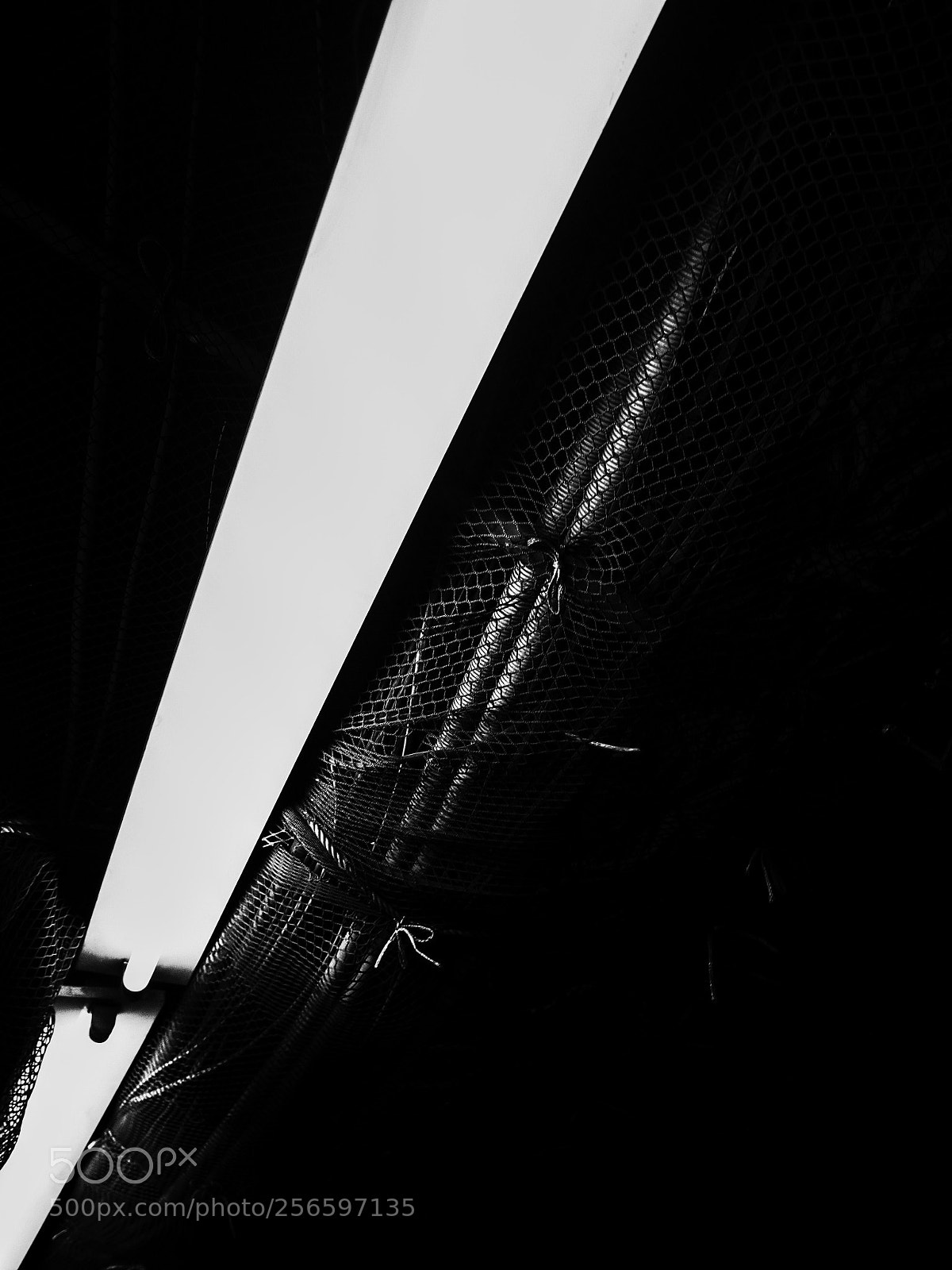 Ricoh GR II sample photo. Untitled photography