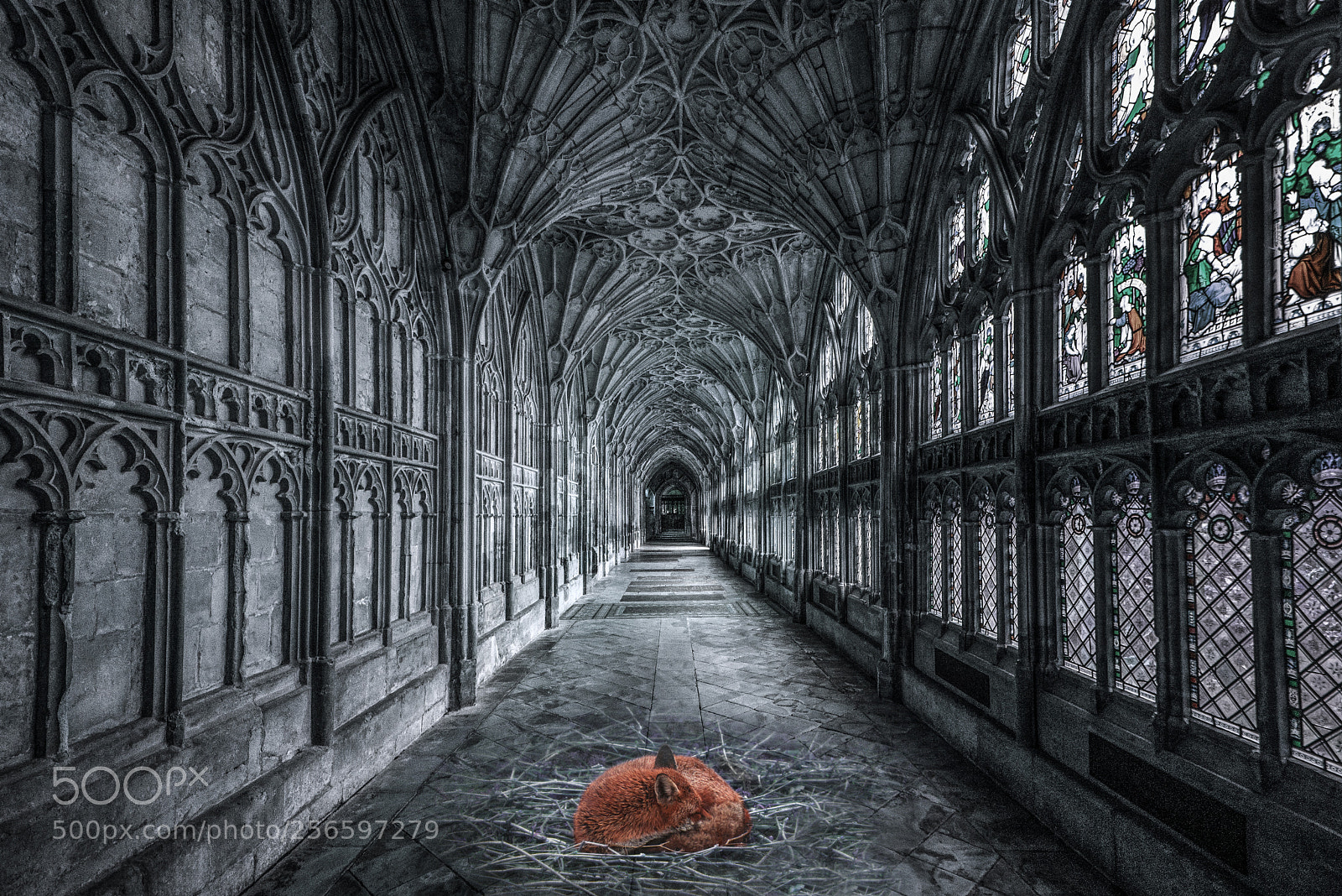 Nikon D610 sample photo. Gloucester cathedral ii (manipulation) photography