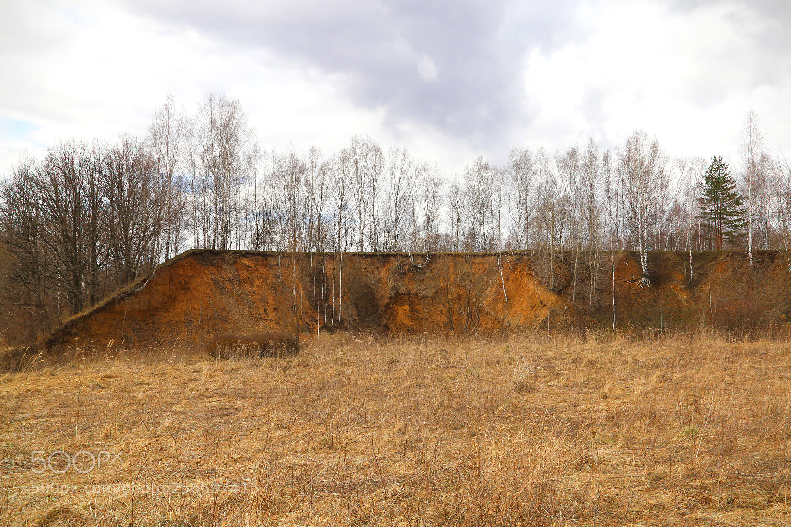 Canon EOS 6D sample photo. Heathland photography