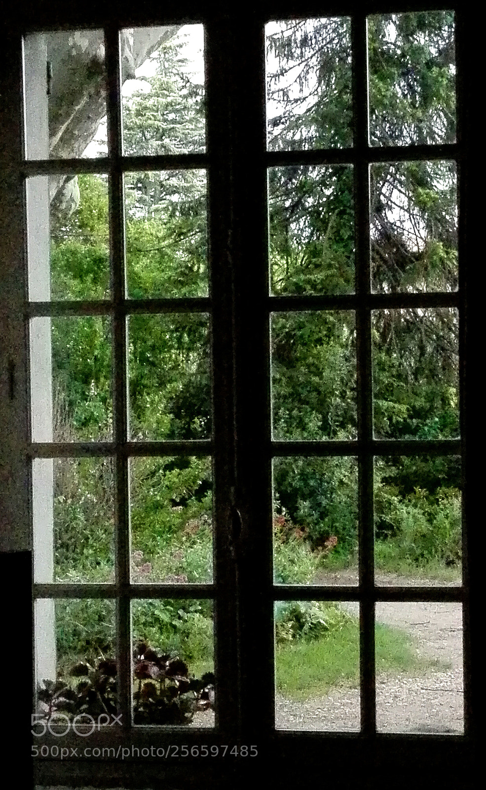 HUAWEI P8 Lite sample photo. Untitled photography