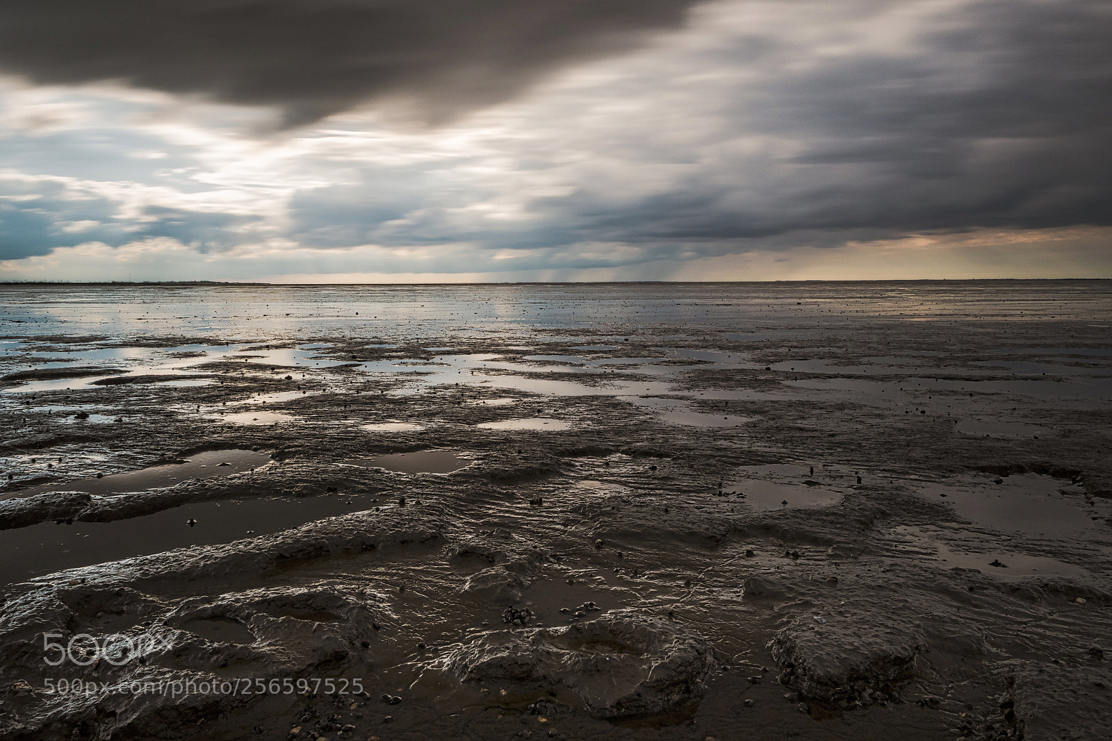 Olympus OM-D E-M1 Mark II sample photo. Low tide on a photography