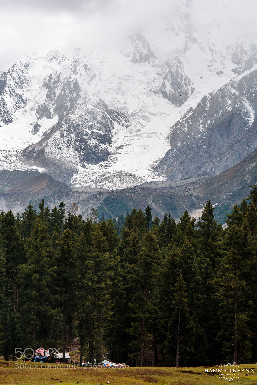 Nikon D7100 sample photo. A call from nature photography