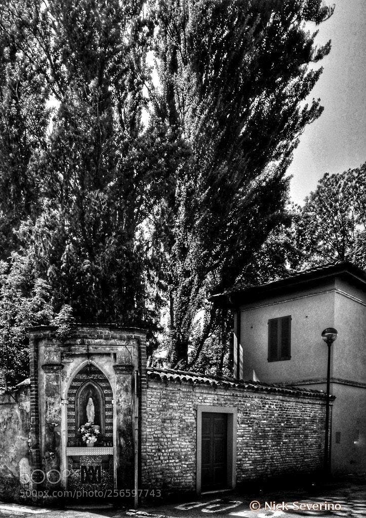 HUAWEI P9 LITE sample photo. "aedicula" photography