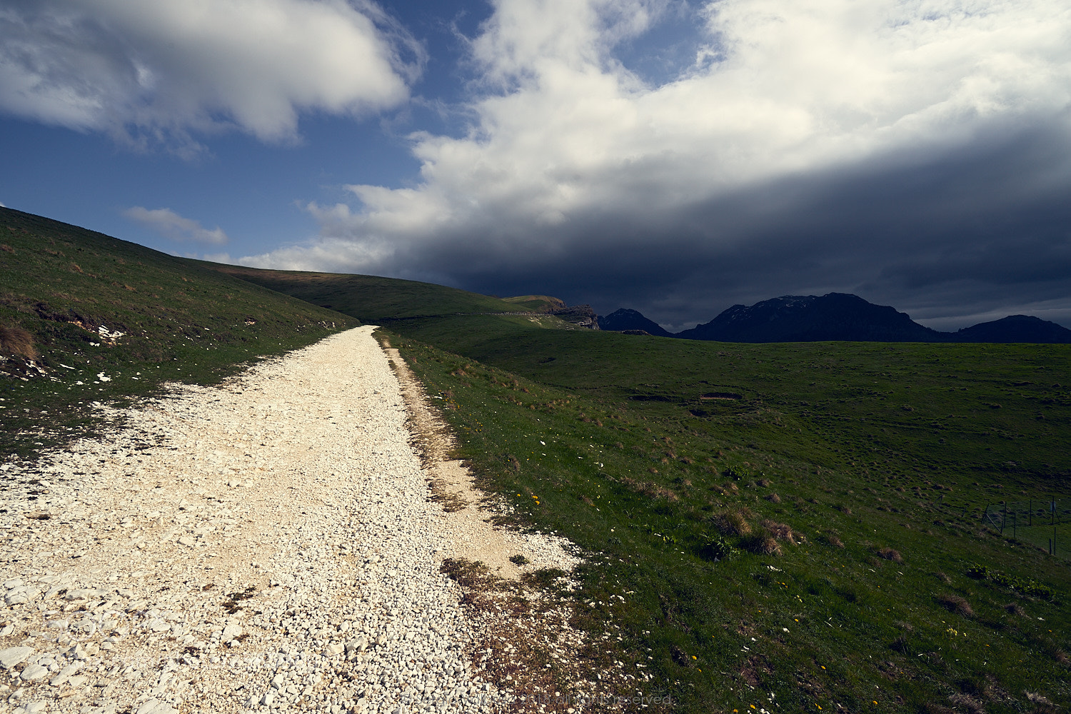 Canon EOS 6D Mark II sample photo. Strada in lessinia photography