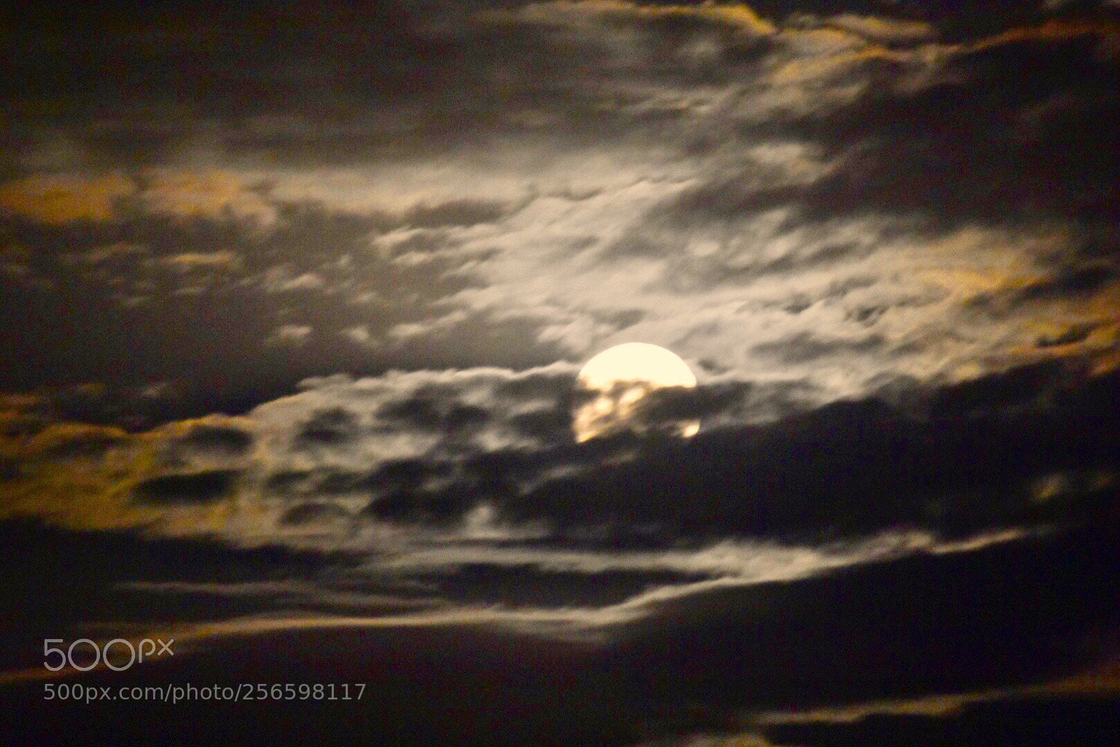 Nikon D7200 sample photo. Moon within cloud..... photography