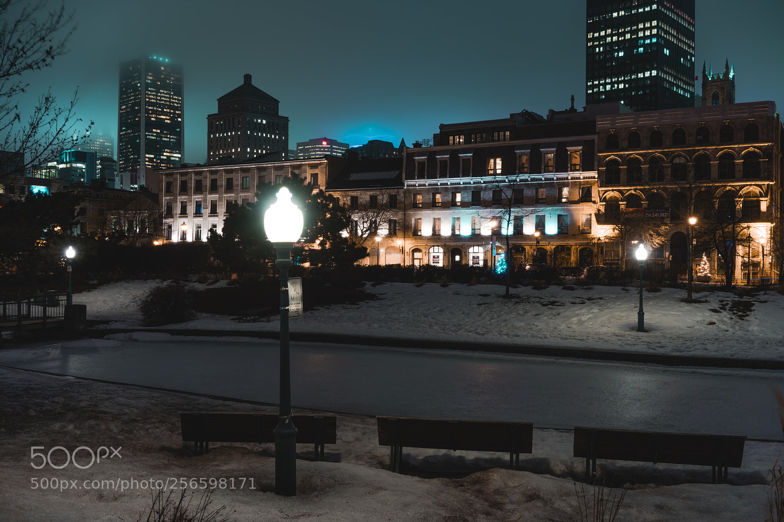 Sony a7 II sample photo. Banc public photography