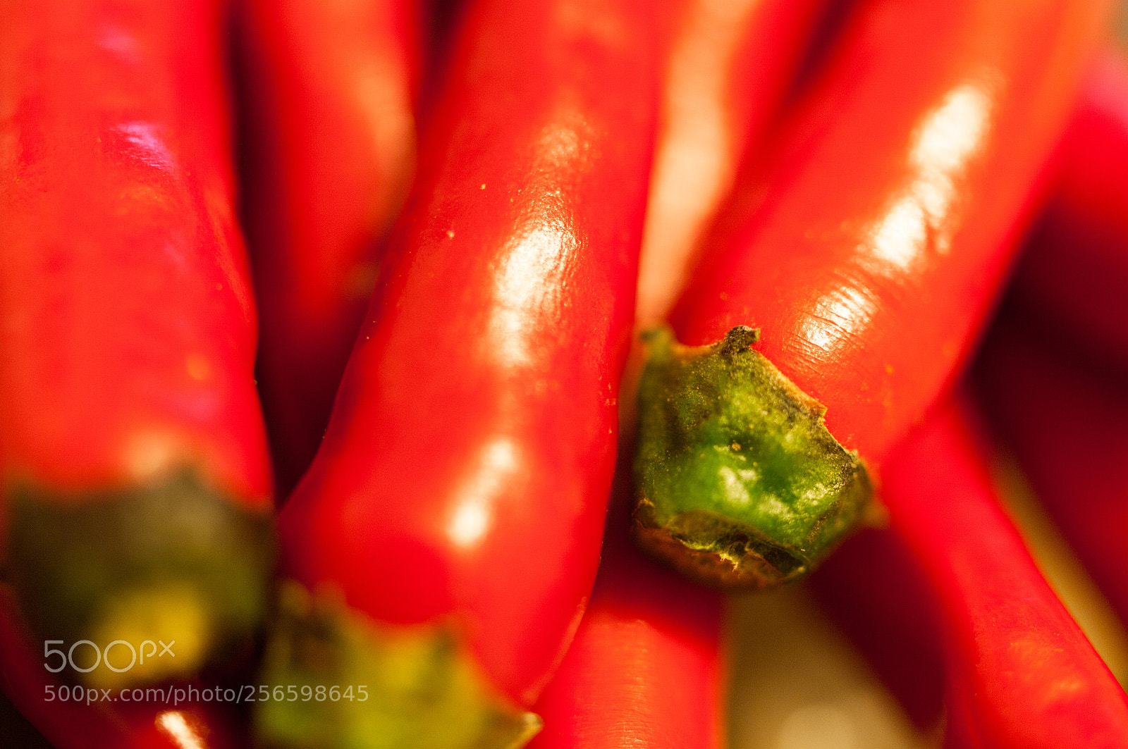 Pentax K20D sample photo. Rice chilli.米椒 photography