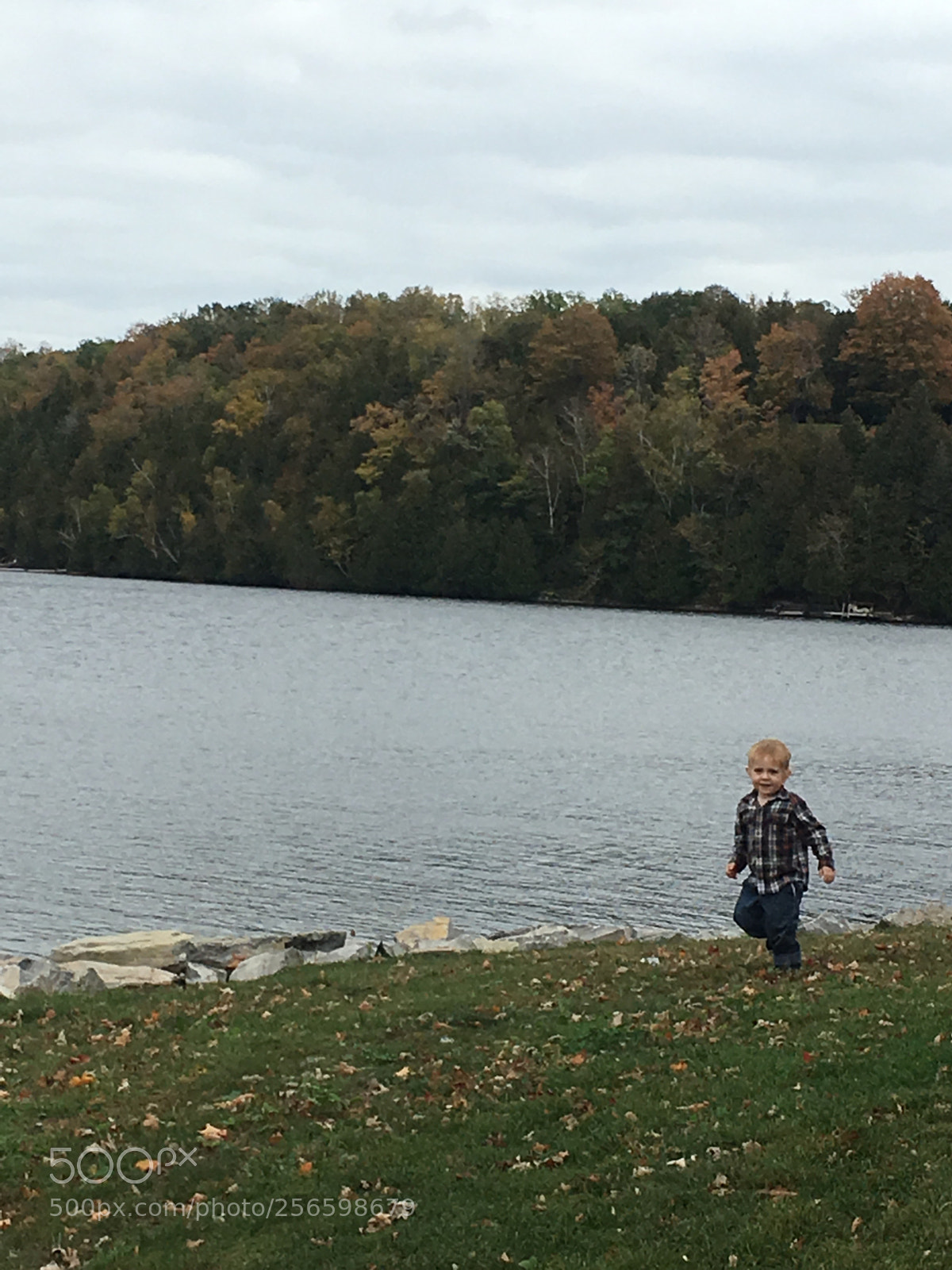 Apple iPhone 6s sample photo. Fall days on the photography
