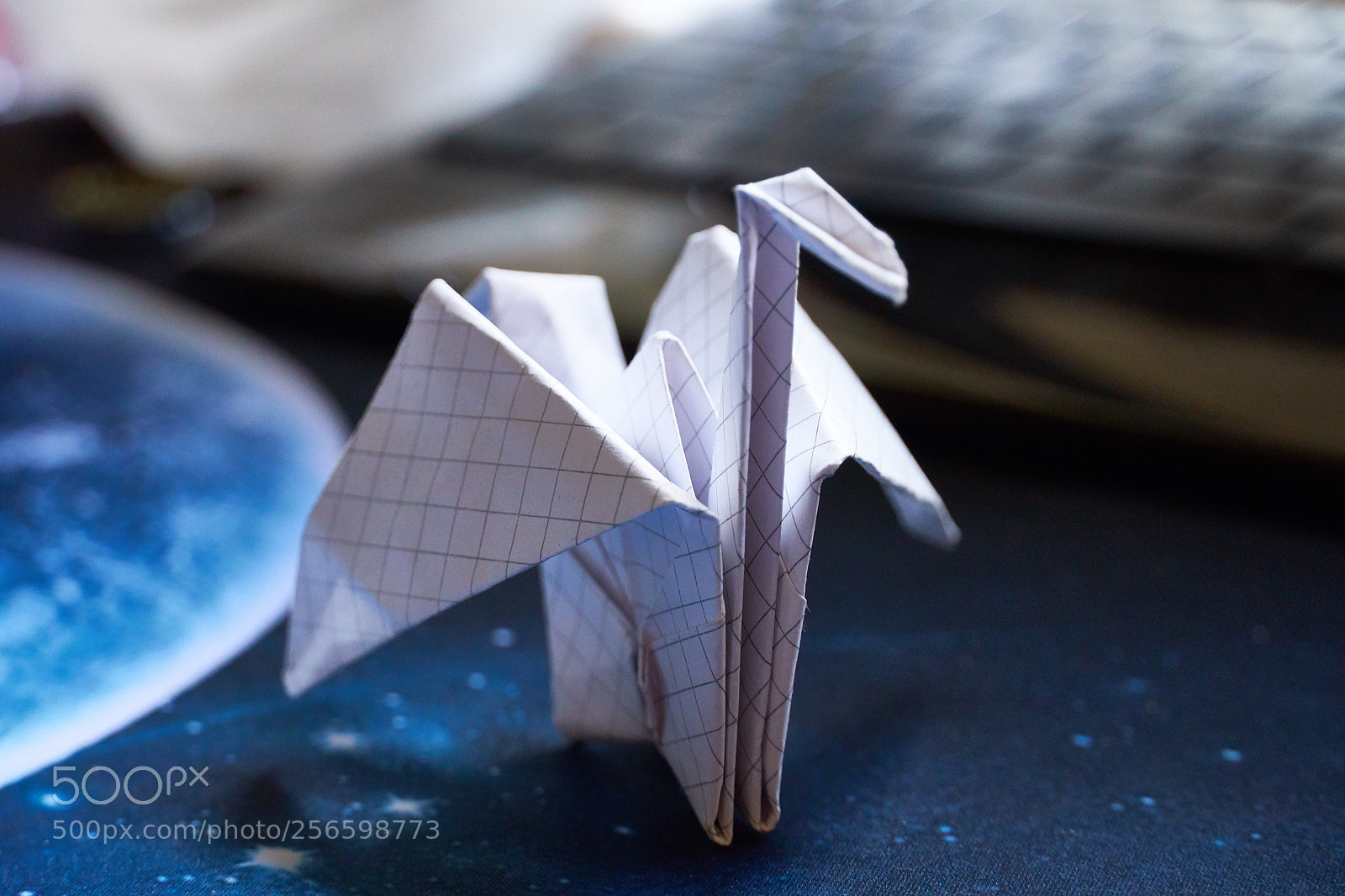 Sony a6500 sample photo. Cigno nello spazio photography