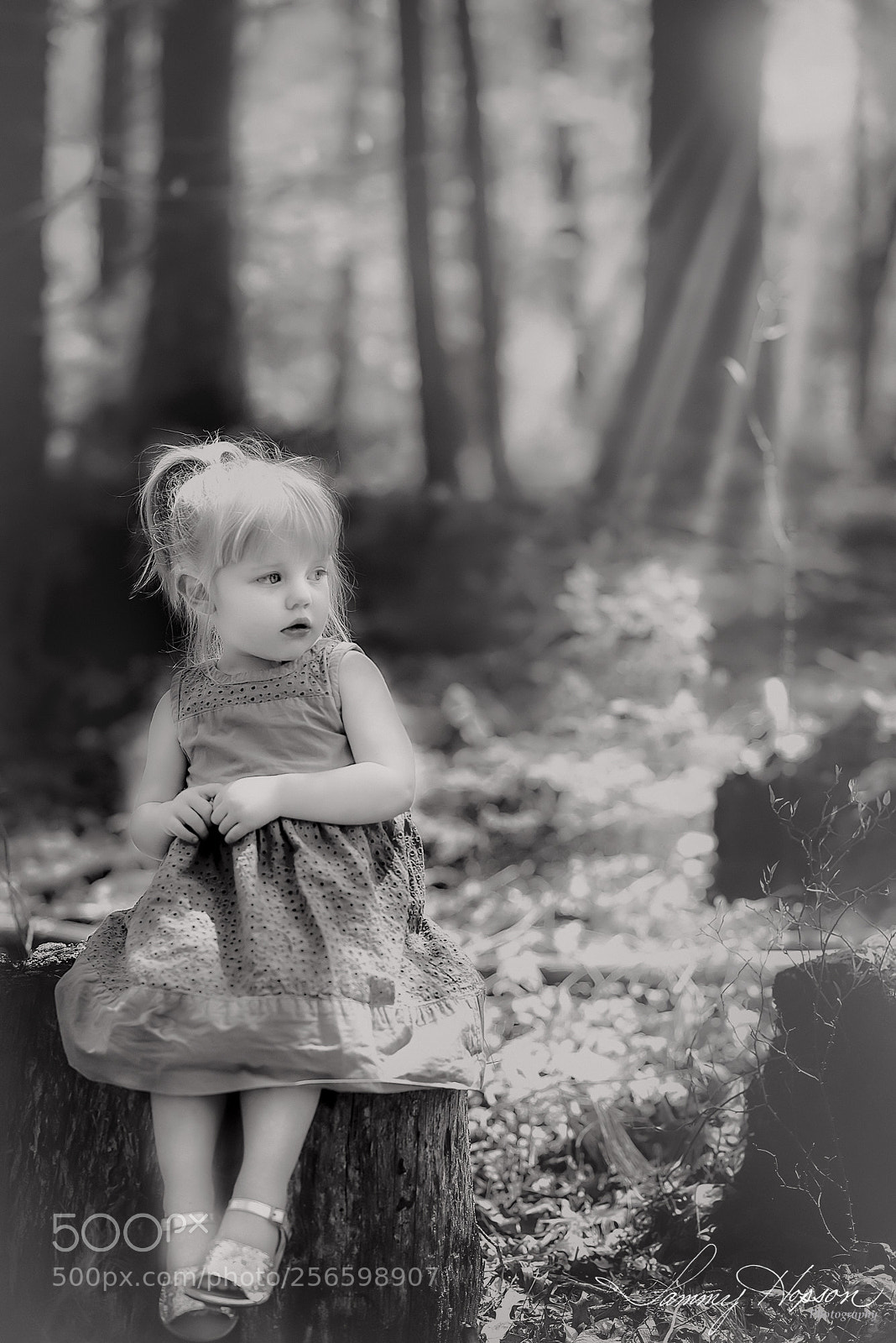 Nikon D800 sample photo. Little dreamer photography