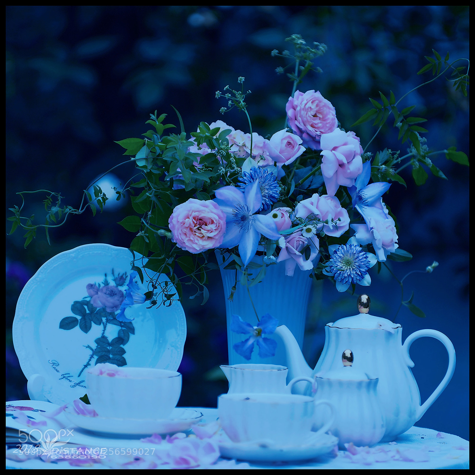 Nikon D800 sample photo. Zys_6431-20.jpg photography