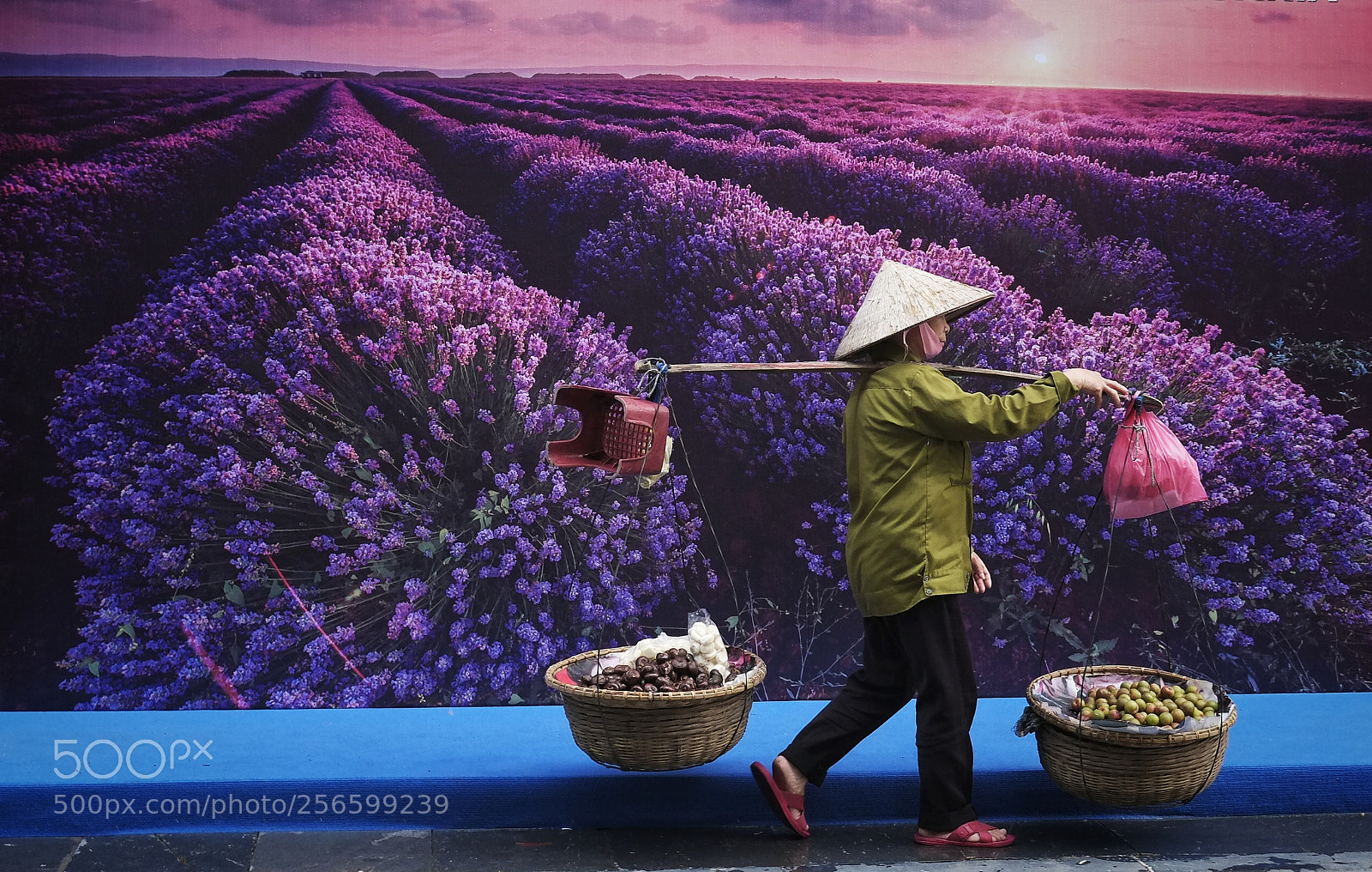 Fujifilm X-E1 sample photo. Lavender photography