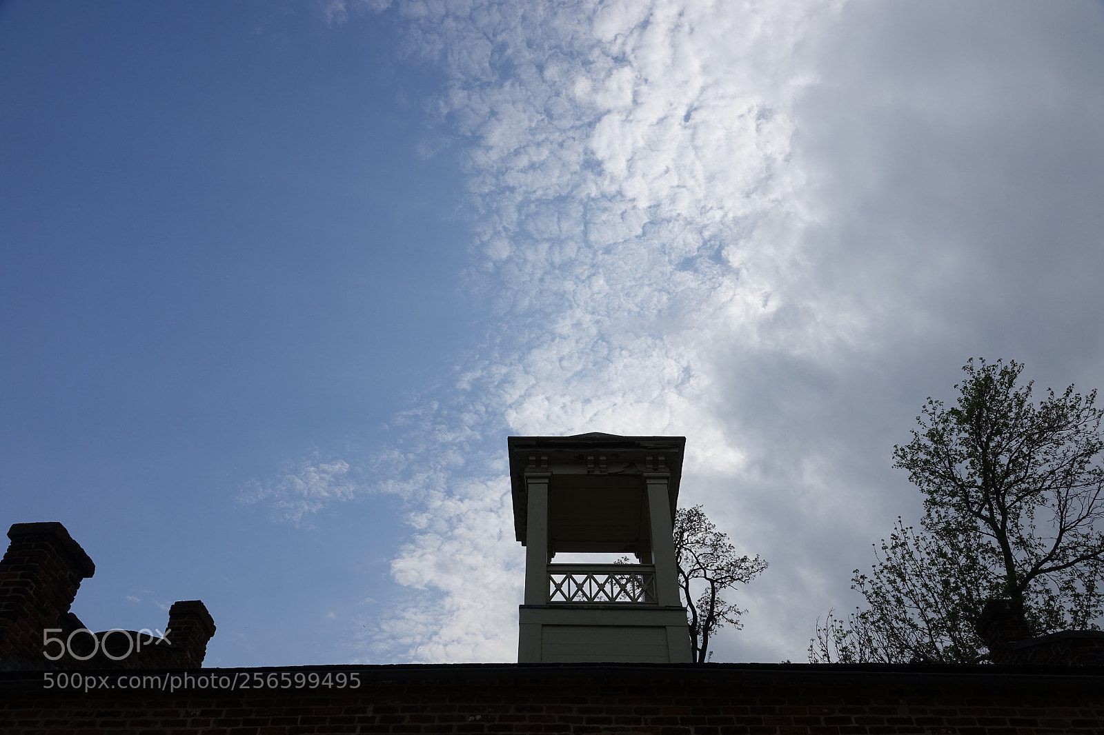 Sony Cyber-shot DSC-RX10 III sample photo. Looking up photography