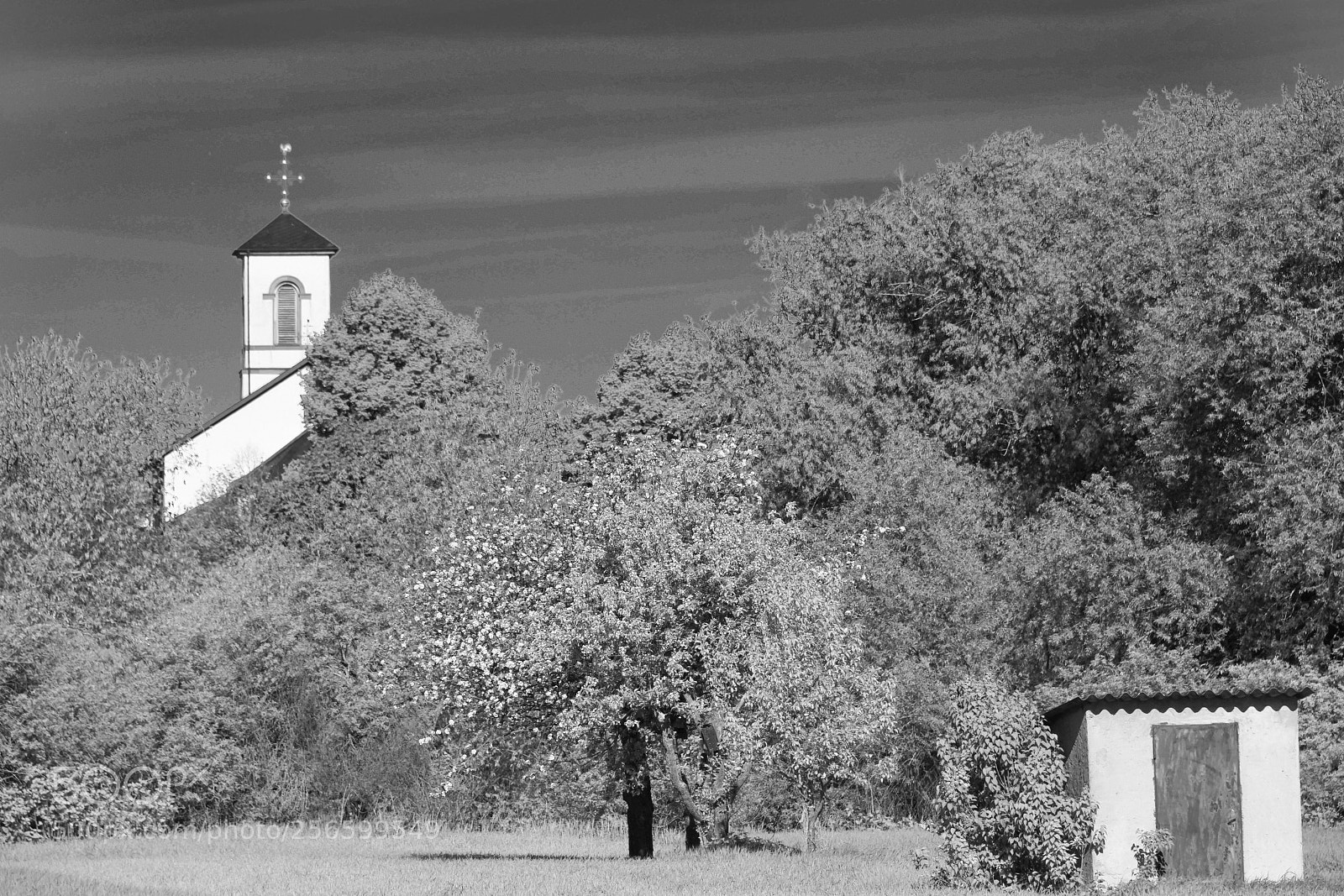 Nikon D850 sample photo. Retro photography