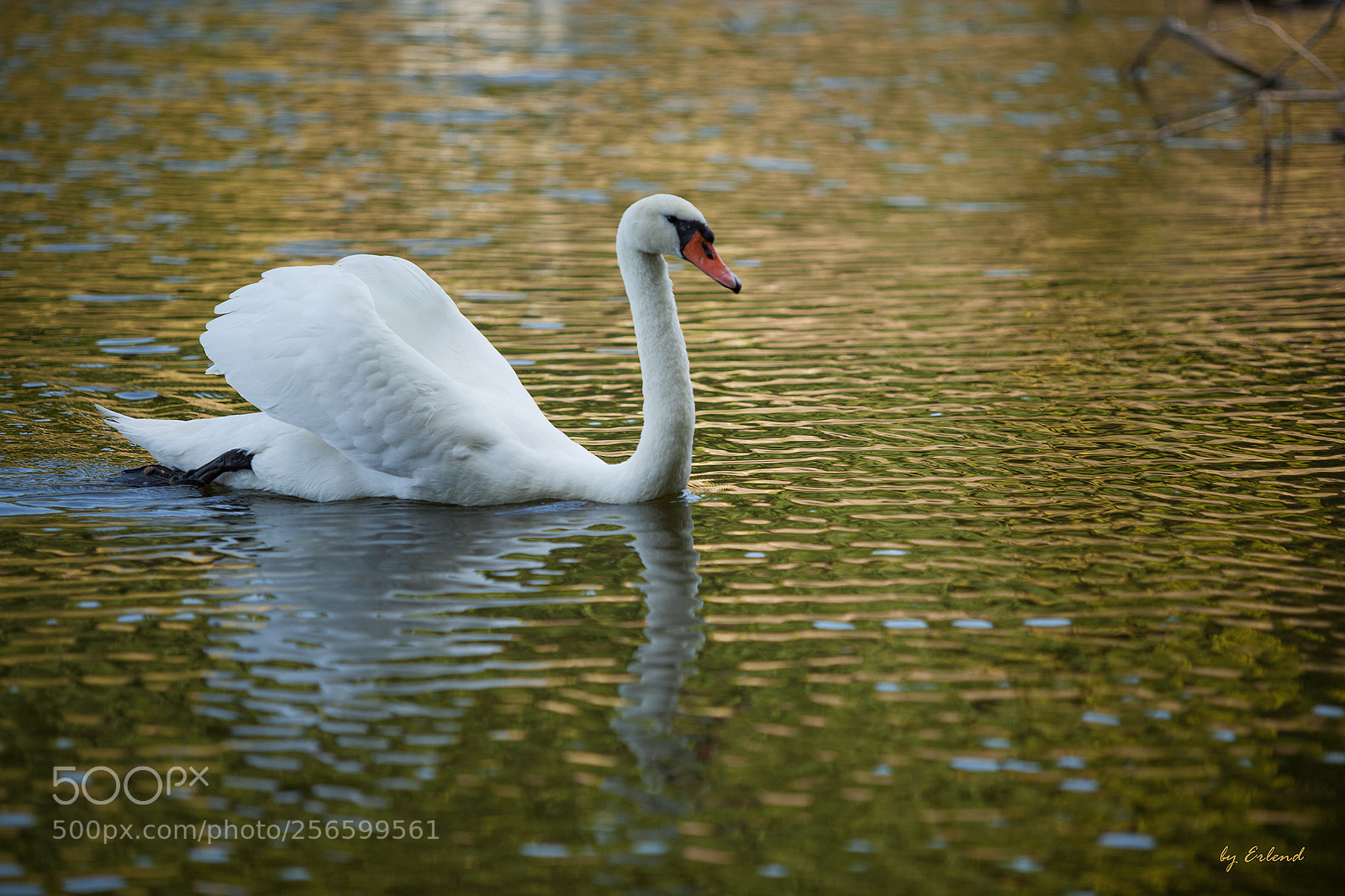 Canon EOS 5D Mark II sample photo. Lake photography