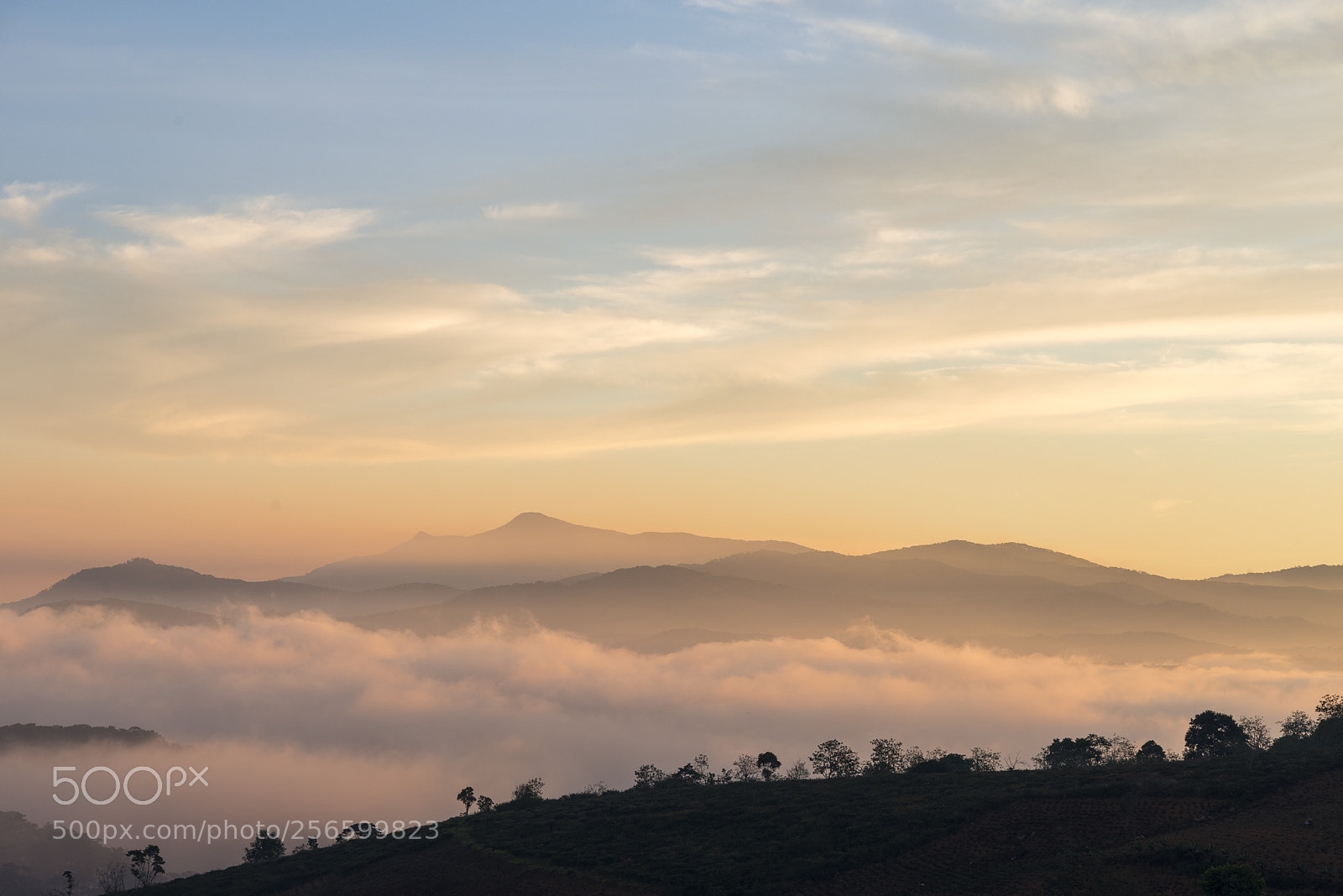 Pentax K-1 sample photo. Aaa photography