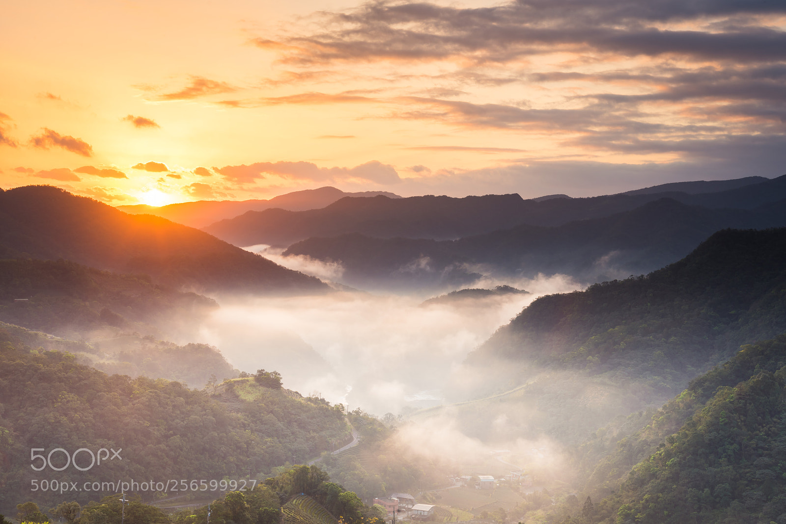 Nikon D750 sample photo. Dawn in valley photography