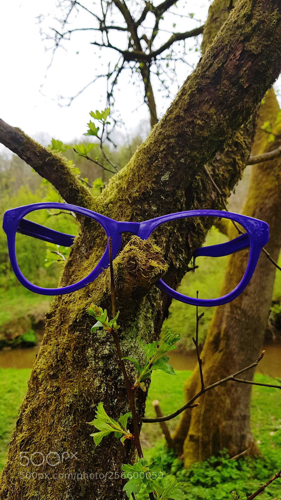 Samsung Galaxy S8 sample photo. Untitled photography