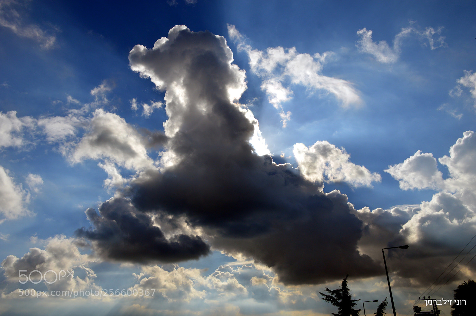 Nikon D3200 sample photo. Untitled photography