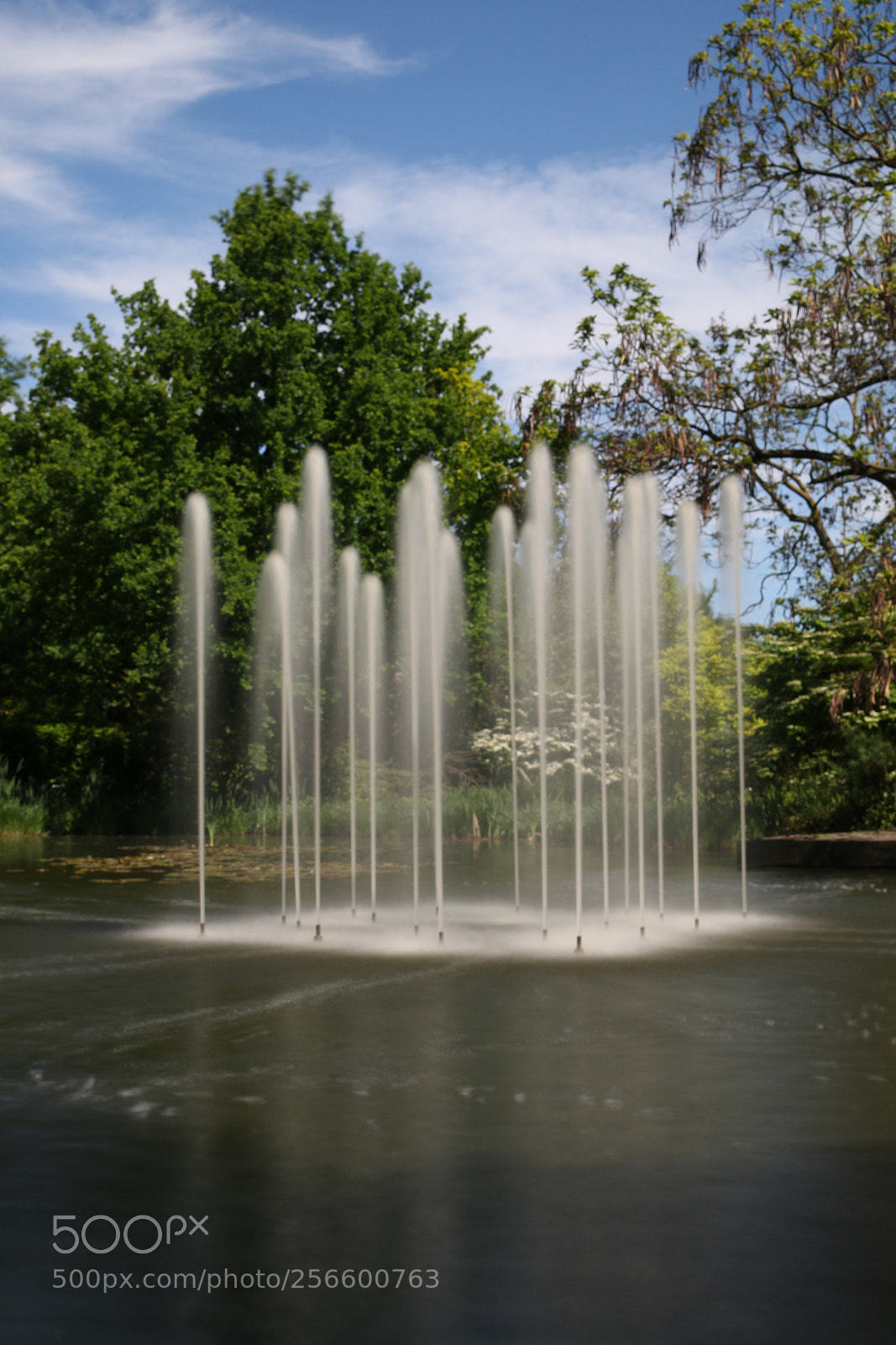 Canon EOS 70D sample photo. Springbrunnen müga 3 photography