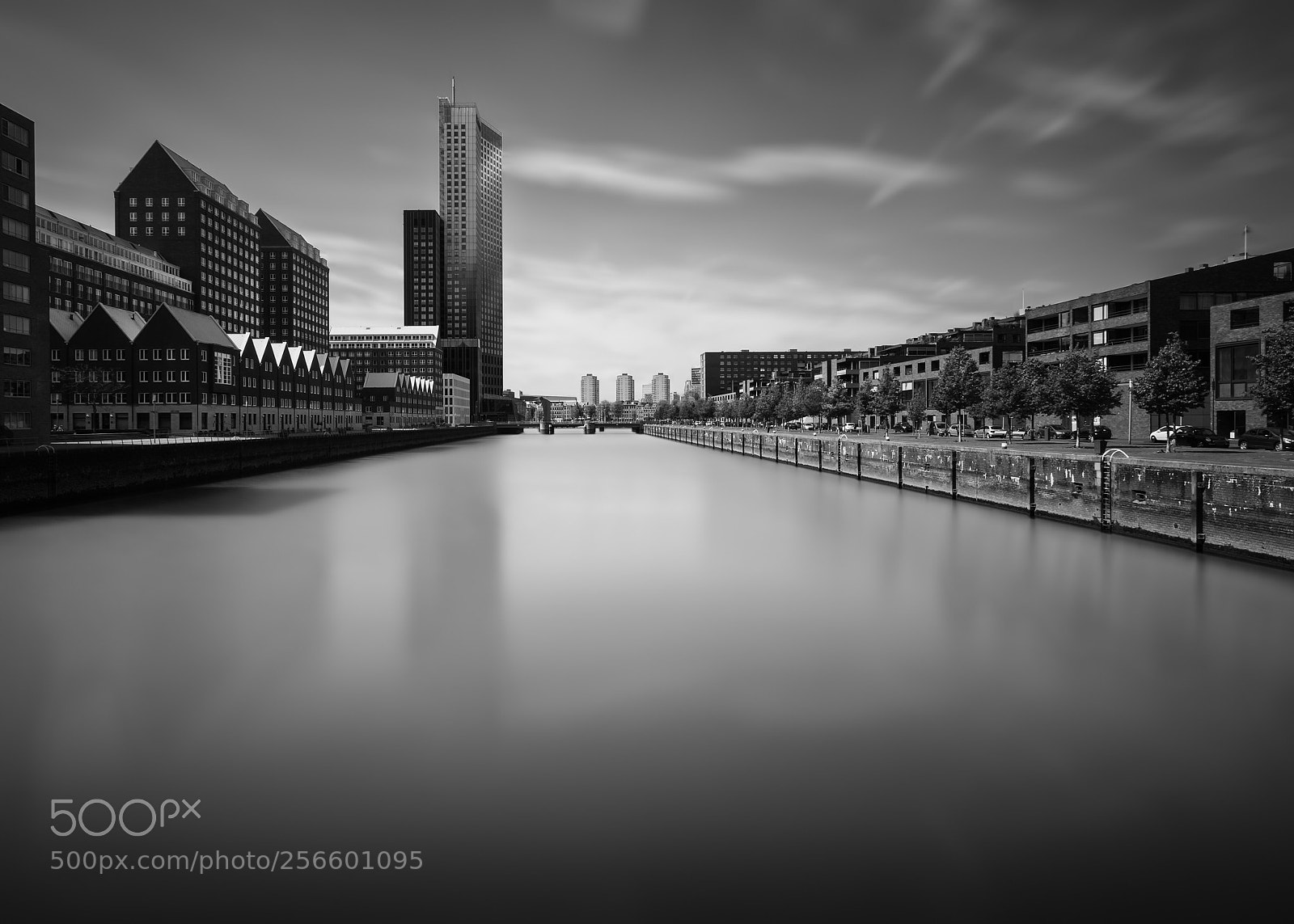 Canon EOS 5D Mark IV sample photo. Rotterdam  photography