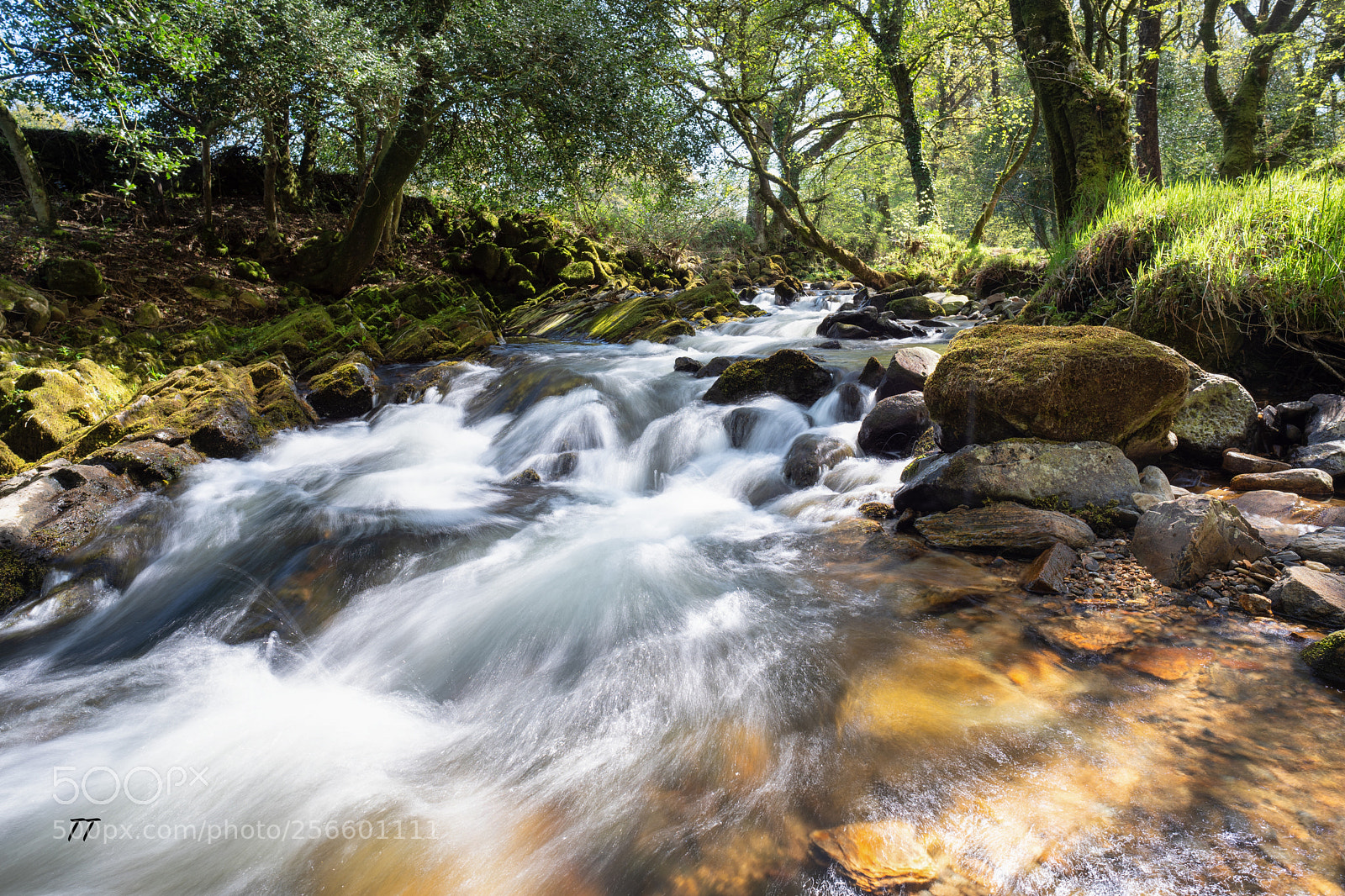 Sony a7 III sample photo. East oakment river 2 photography