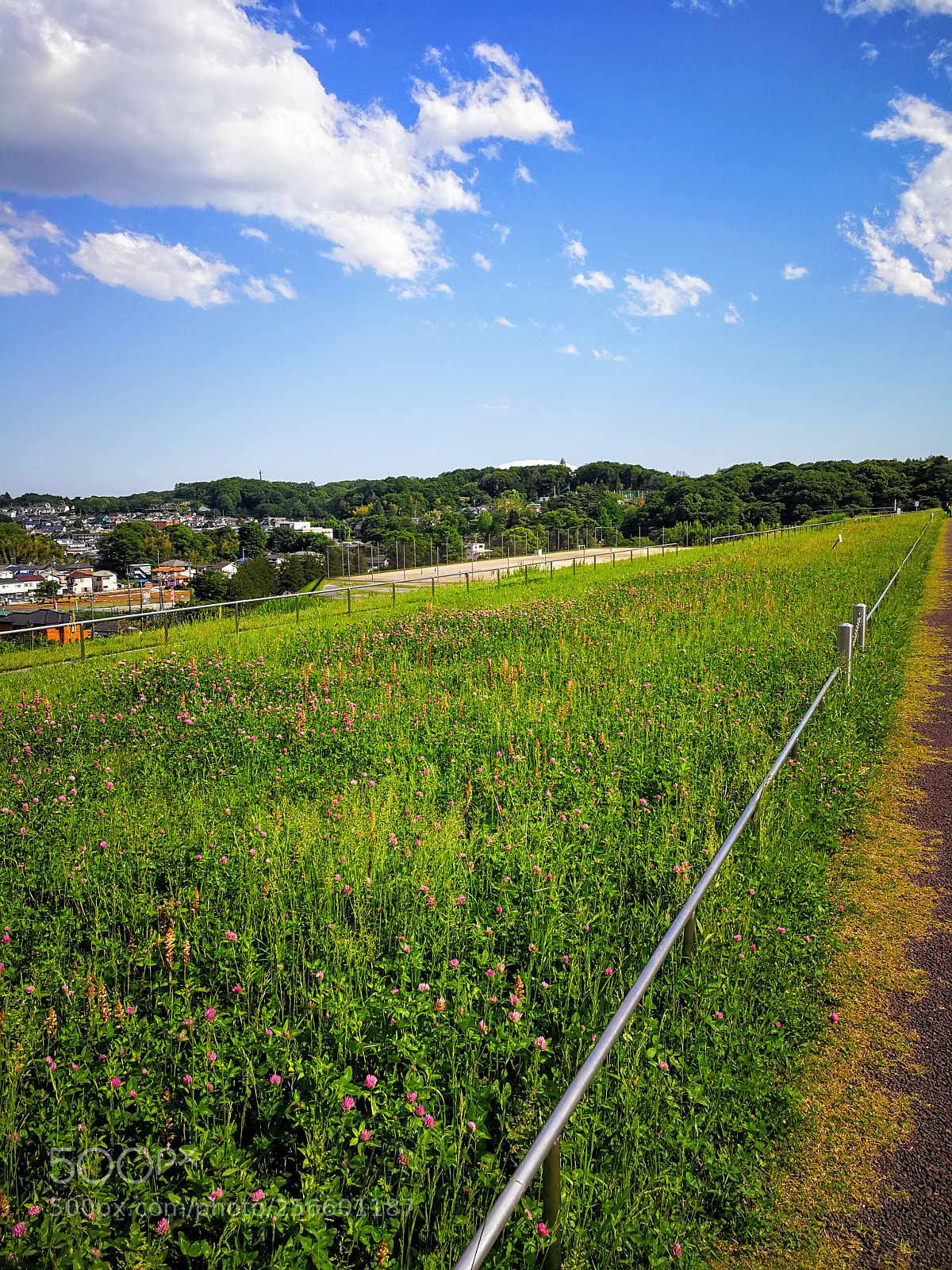 HUAWEI Mate 9 sample photo. 県立狭山自然公園 photography