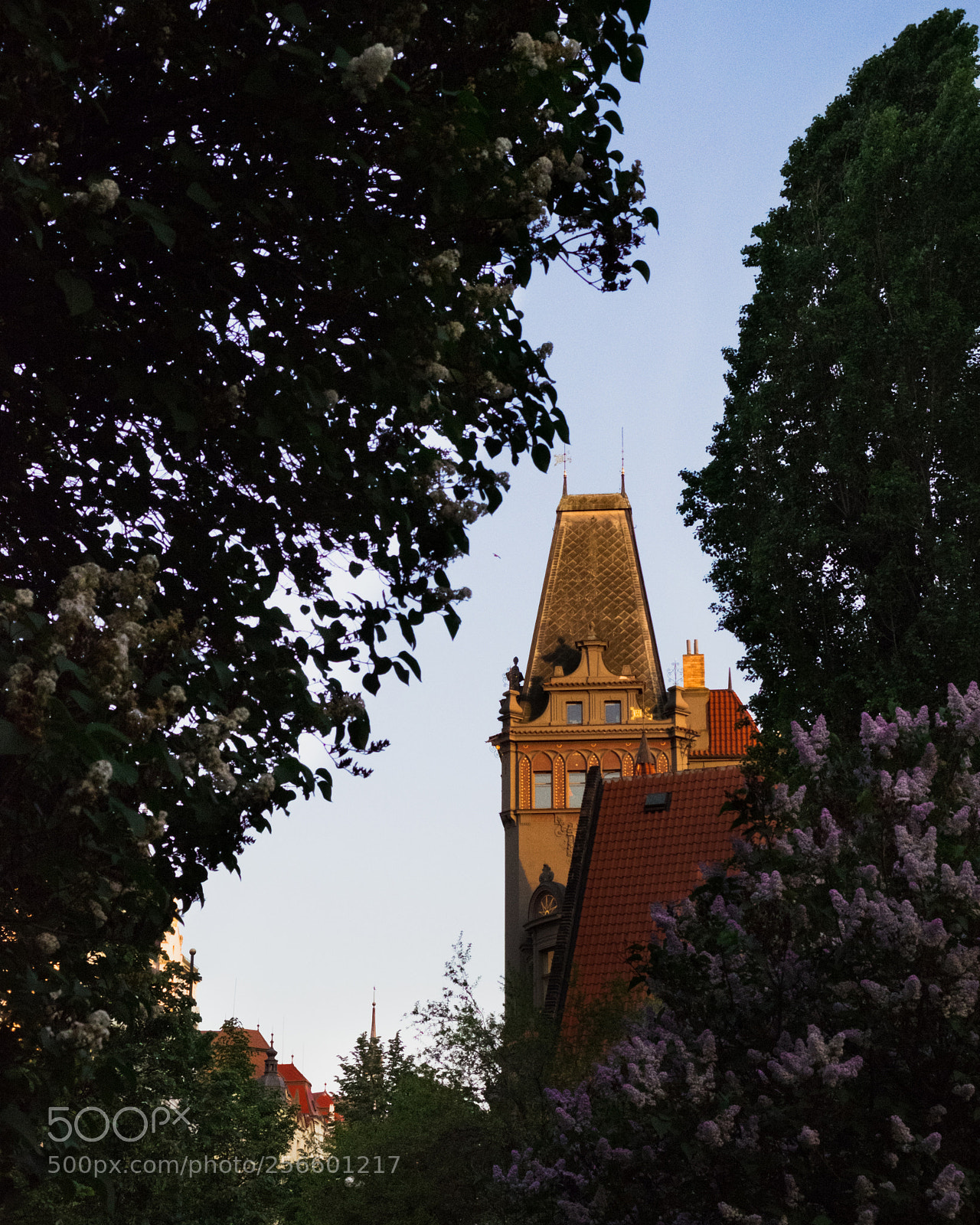 Fujifilm X-T10 sample photo. Praguespring photography