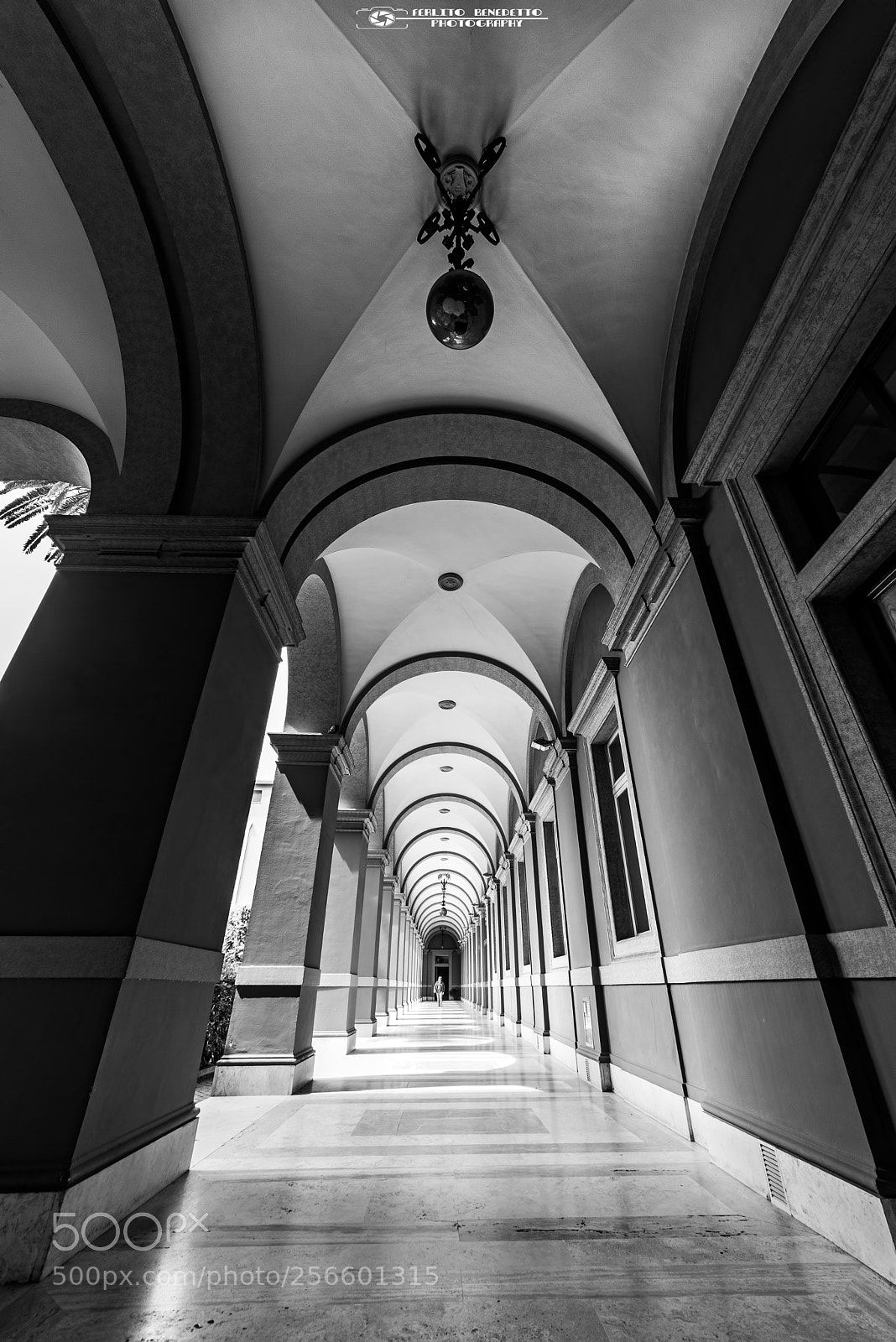 Nikon D750 sample photo. Archi photography
