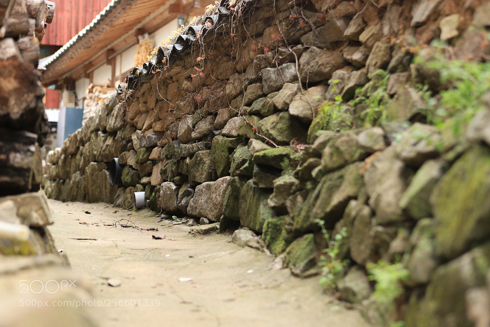 Canon EOS 6D Mark II sample photo. Stone wall photography