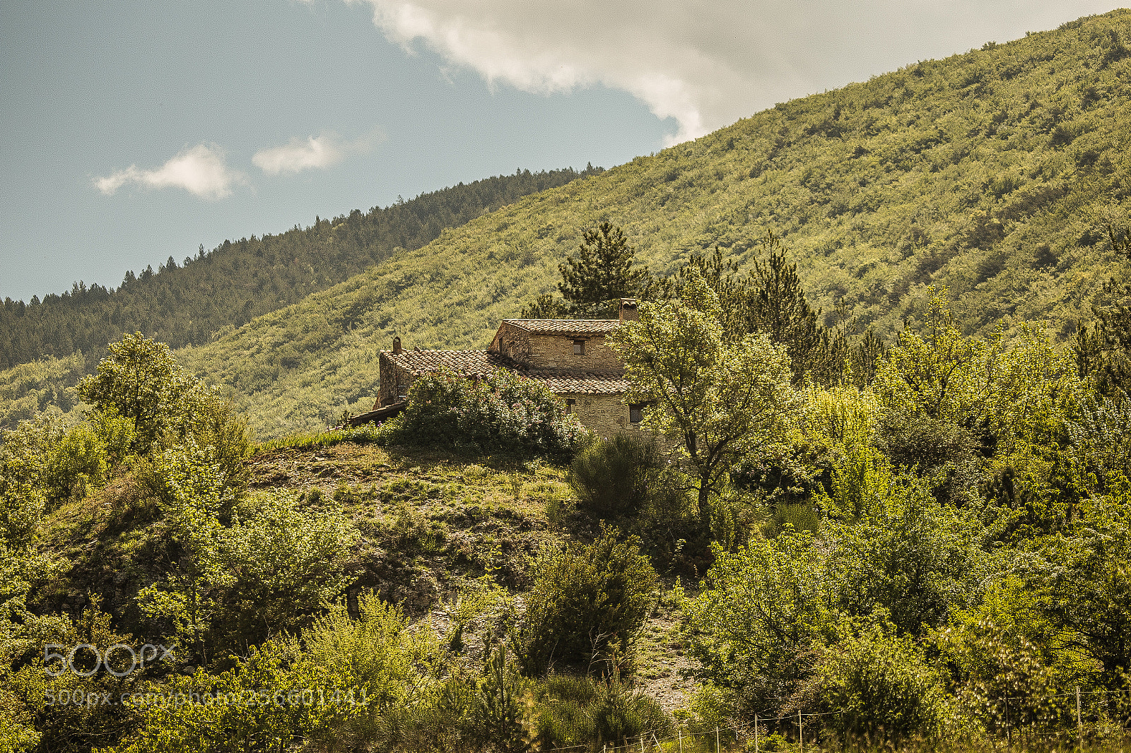 Canon EOS 6D sample photo. La petite maison dans photography
