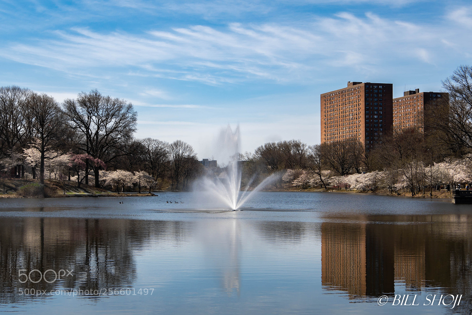 Sony ILCA-77M2 sample photo. Springtime at branch brook photography