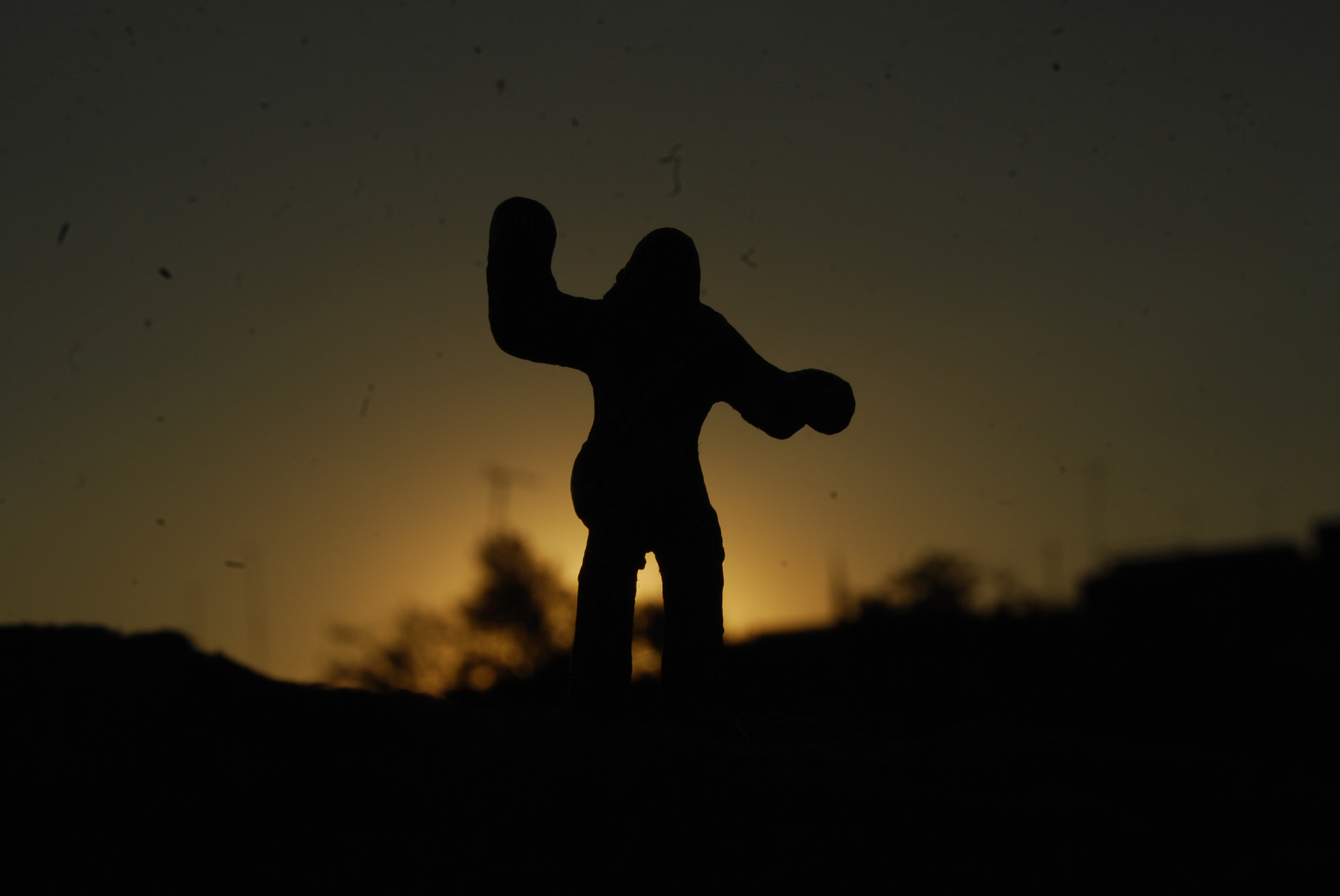 Nikon D40X sample photo. Lets go photography