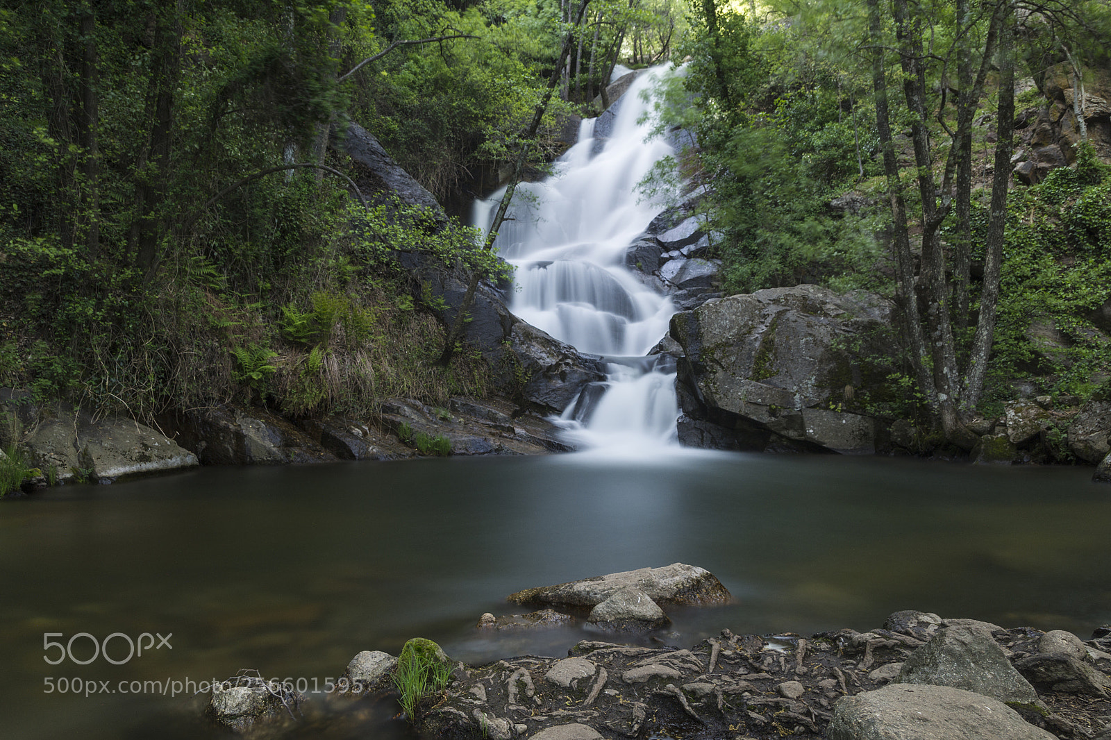 Nikon D7200 sample photo. White waterfall. photography