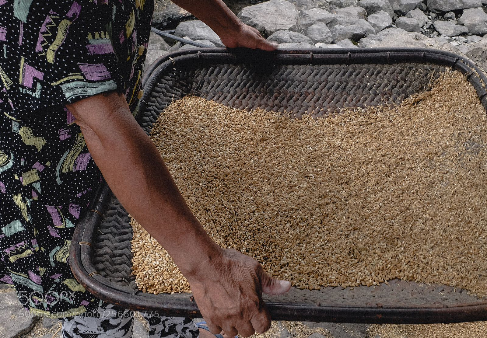 Fujifilm X-T10 sample photo. Traditional unhusking of rice photography