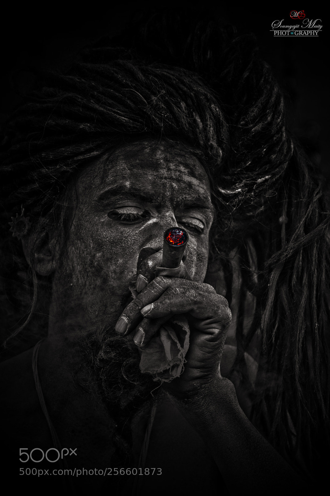 Nikon D5300 sample photo. Monk photography