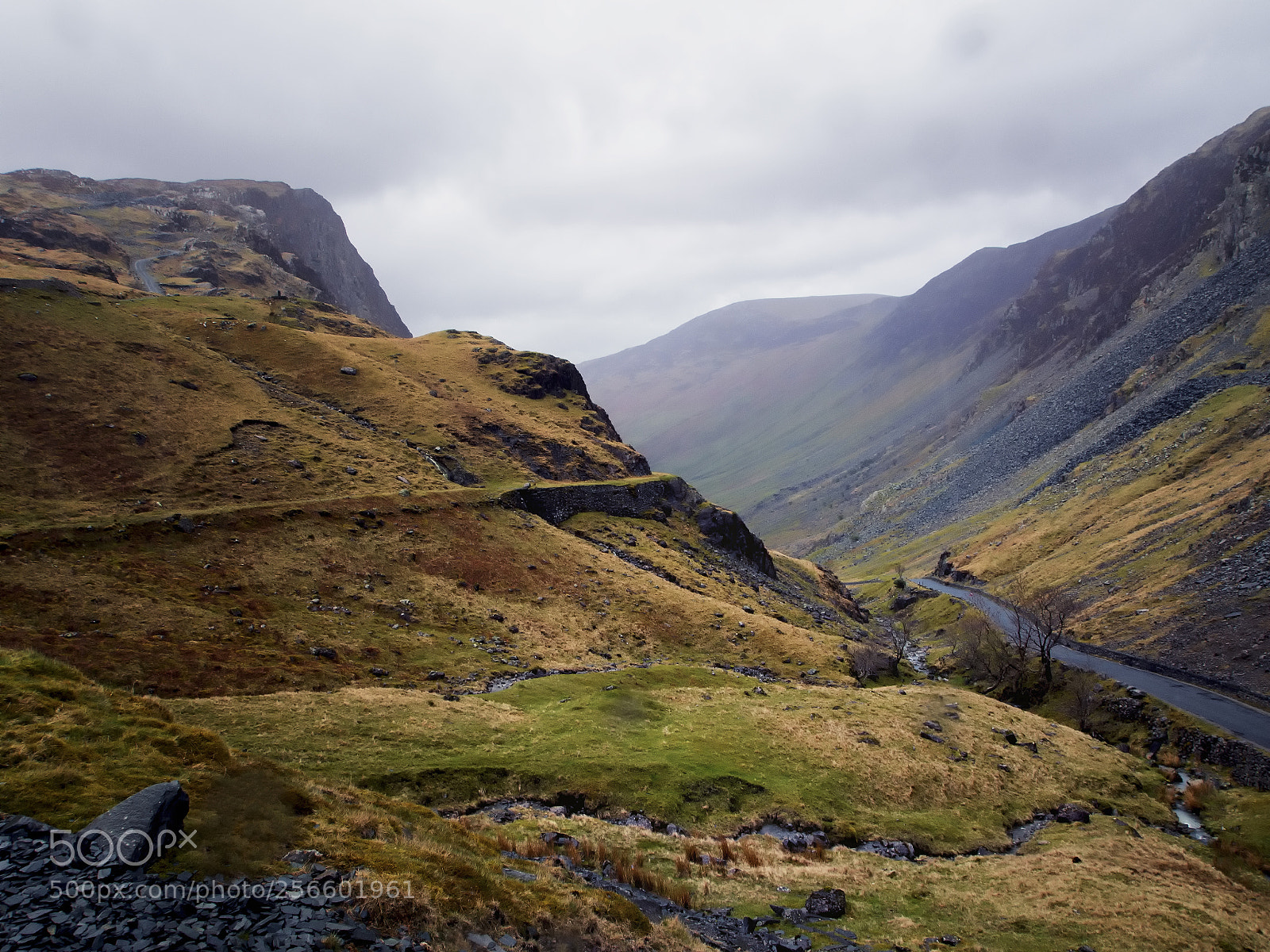 Olympus OM-D E-M5 sample photo. Lake district iii photography